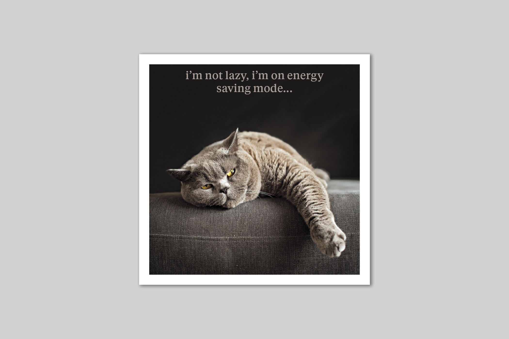 Energy Saving Mode quirky animal portrait from Curious World range of greeting cards by Icon.