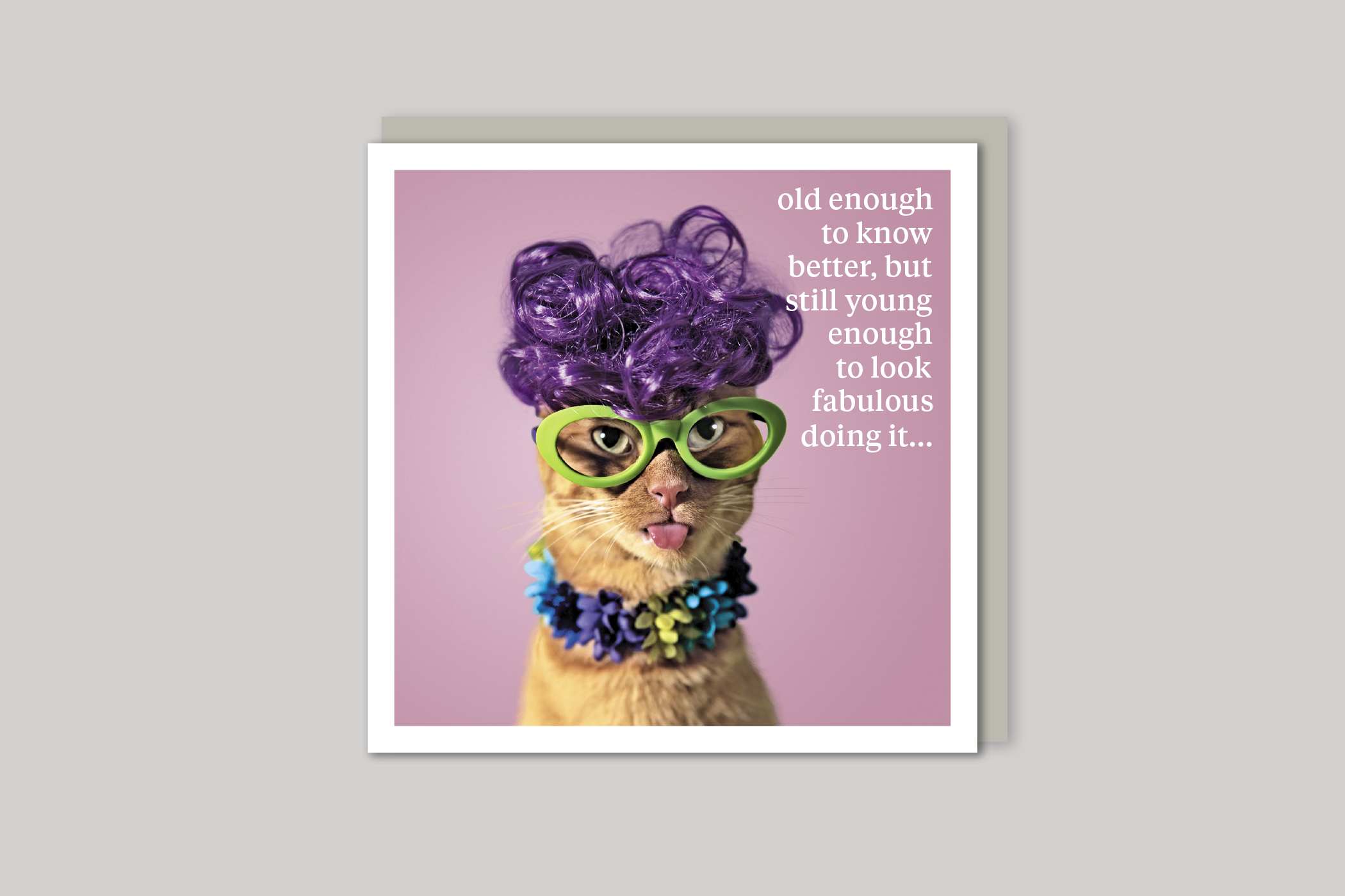 Still Young quirky animal portrait from Curious World range of greeting cards by Icon, back page.