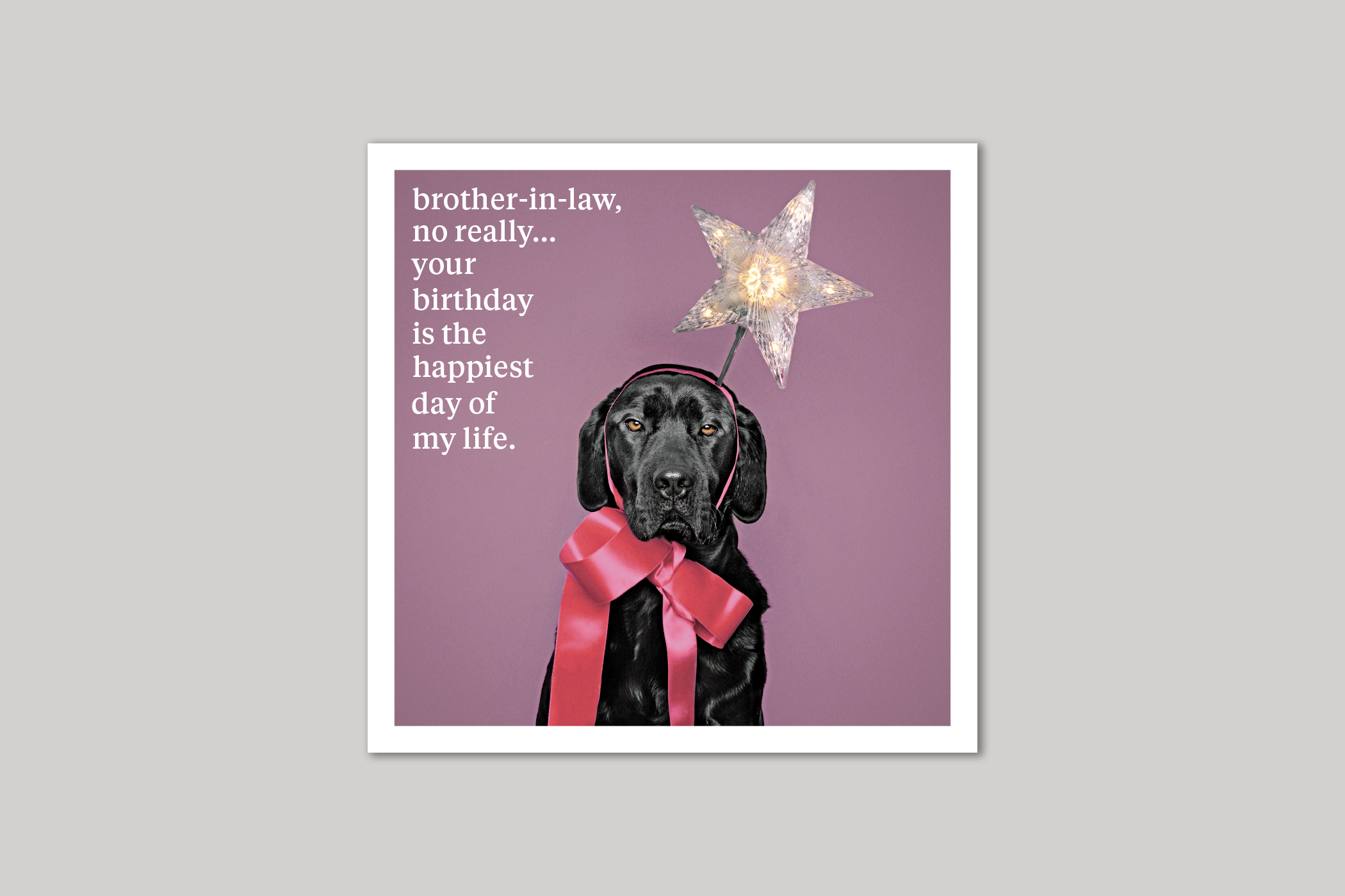 Your Birthday brother-in-law card quirky animal portrait from Curious World range of greeting cards by Icon.
