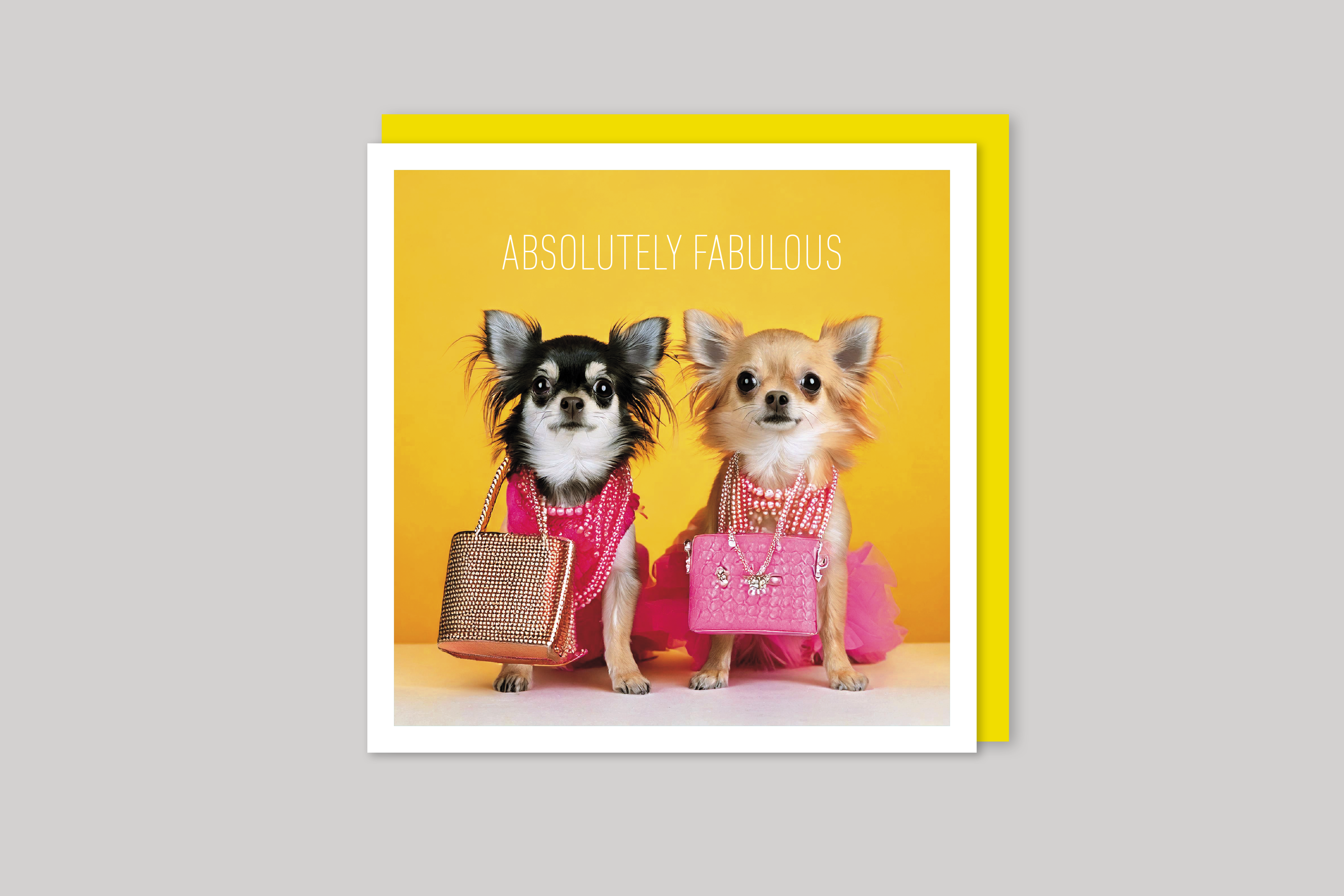 Absolutely Fabulous is from Coola Coola an uber-cool range of animal cards published by Icon, with envelope.