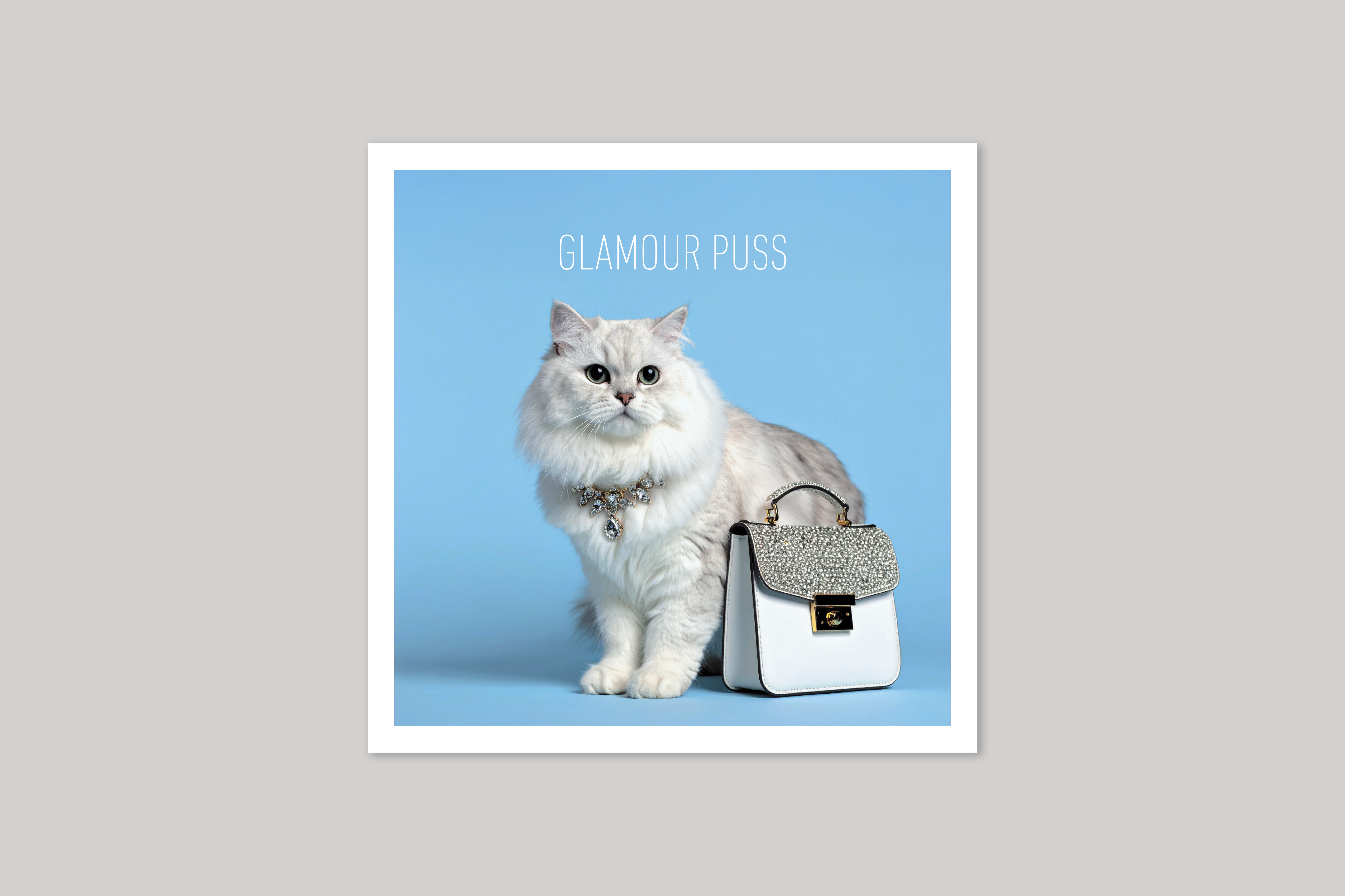 Glamour Puss is from Coola Coola an uber-cool range of animal cards published by Icon.