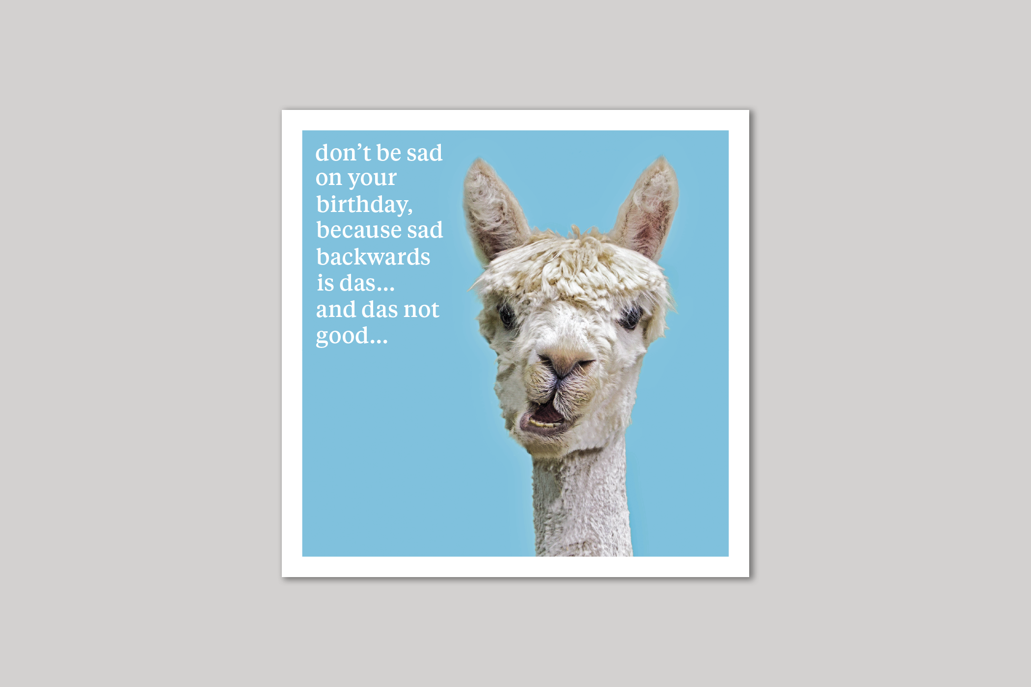 Don't Be Sad quirky animal portrait from Curious World range of greeting cards by Icon.