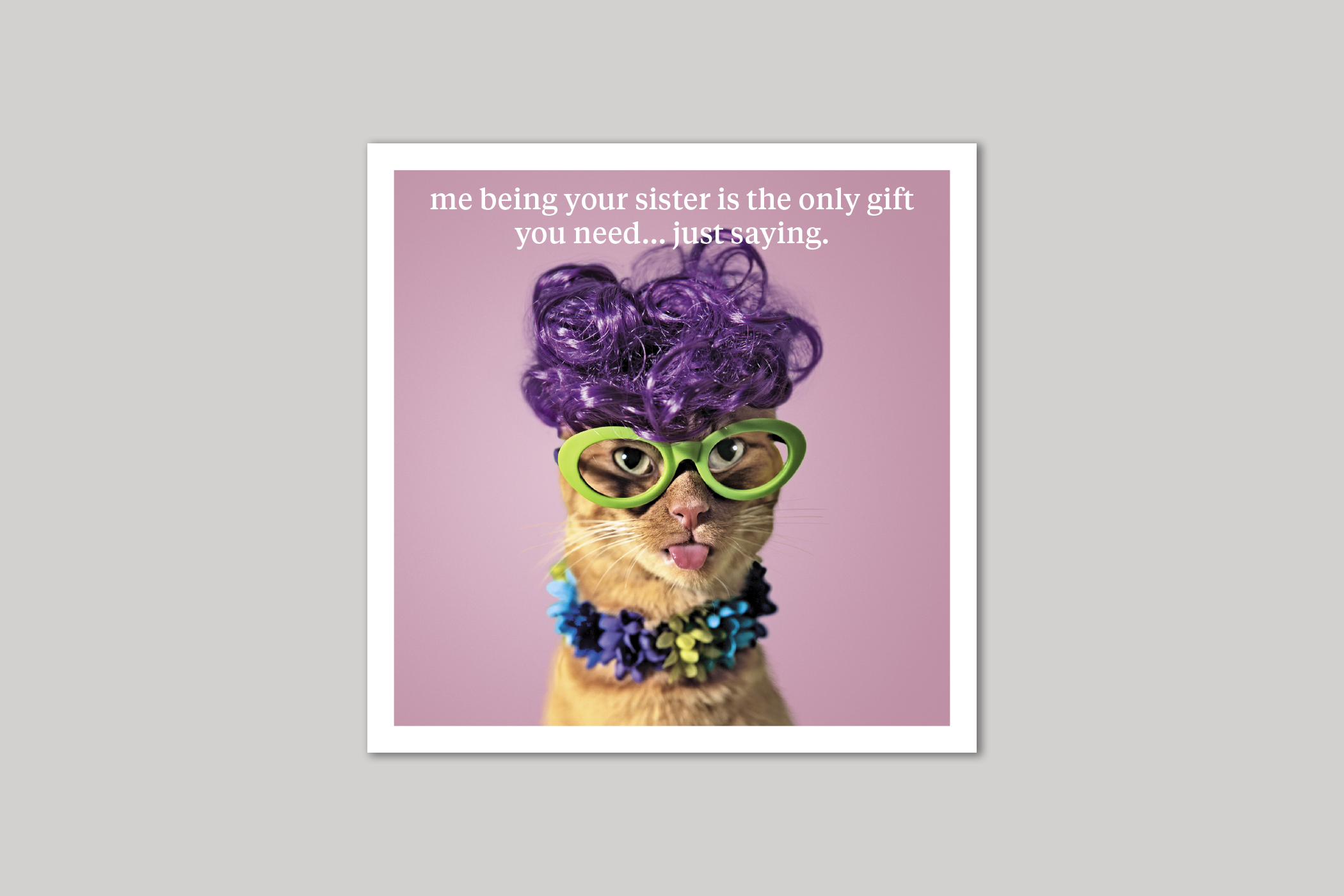 Just Saying sister card quirky animal portrait from Curious World range of greeting cards by Icon.