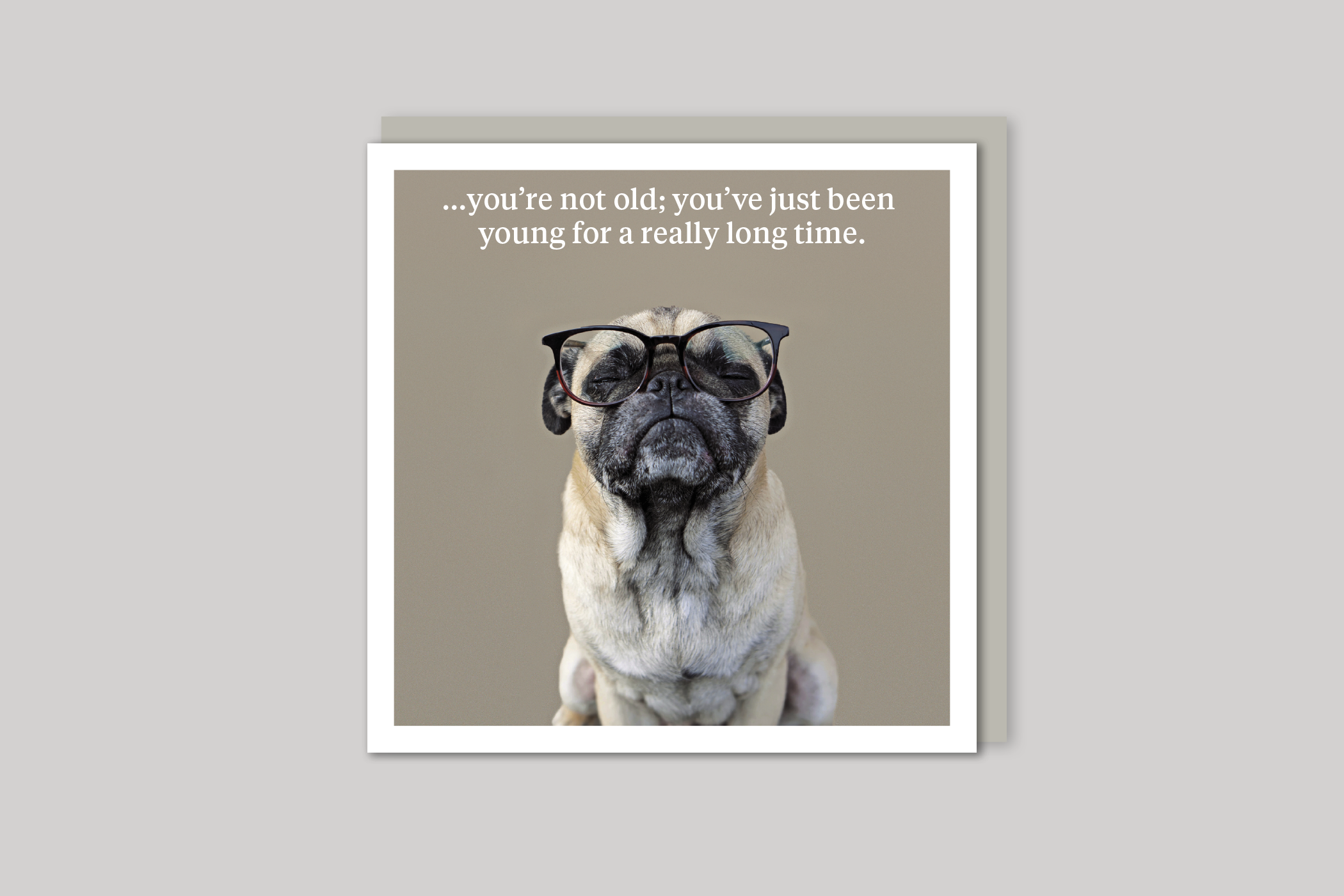 You're Not Old quirky animal portrait from Curious World range of greeting cards by Icon, back page.