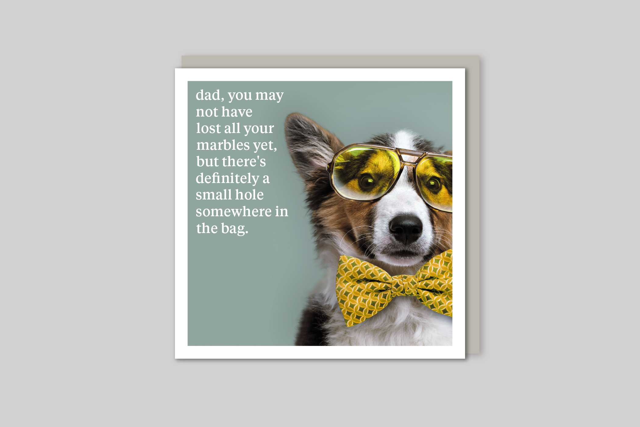 Lost Your Marbles dad card quirky animal portrait from Curious World range of greeting cards by Icon, back page.