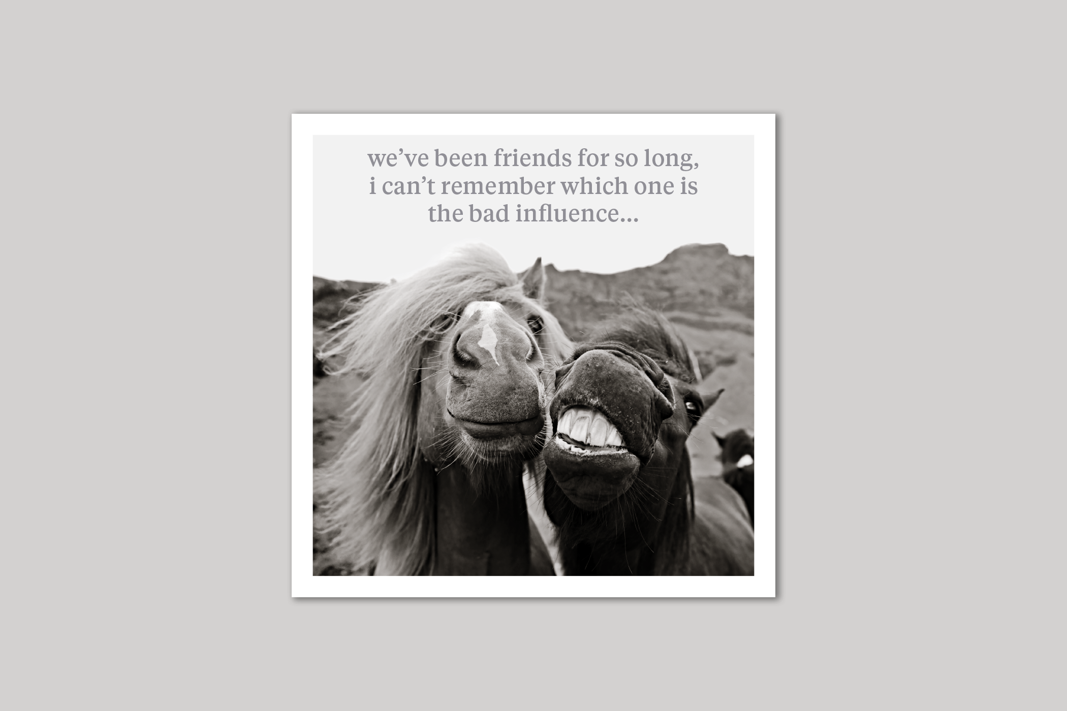 Bad Influence quirky animal portrait from Curious World range of greeting cards by Icon.