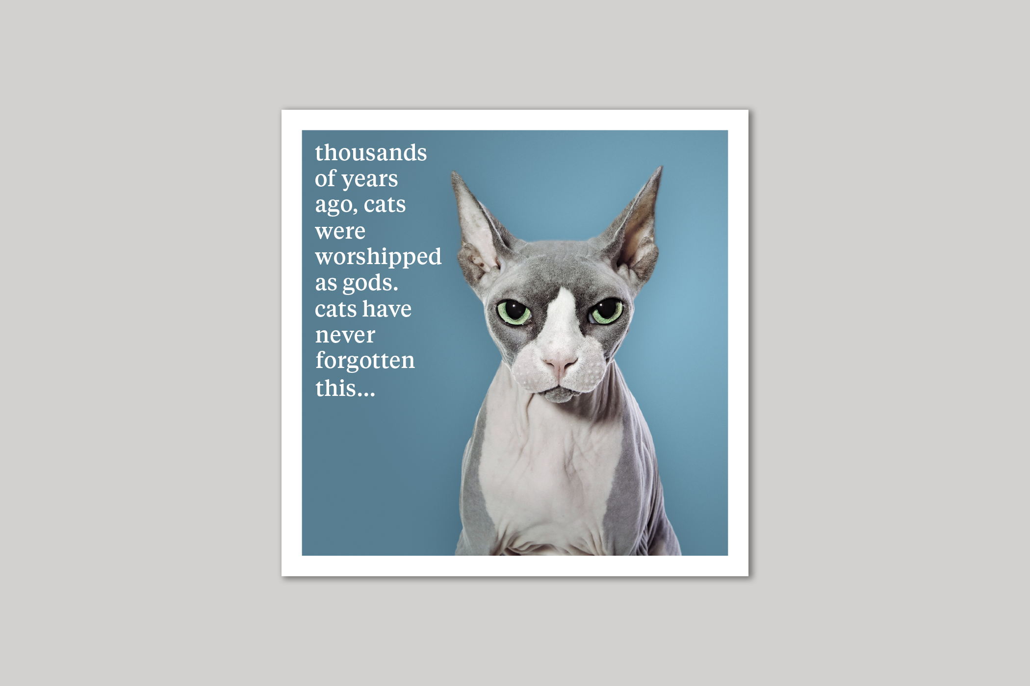 Worshipped As Gods quirky animal portrait from Curious World range of greeting cards by Icon.