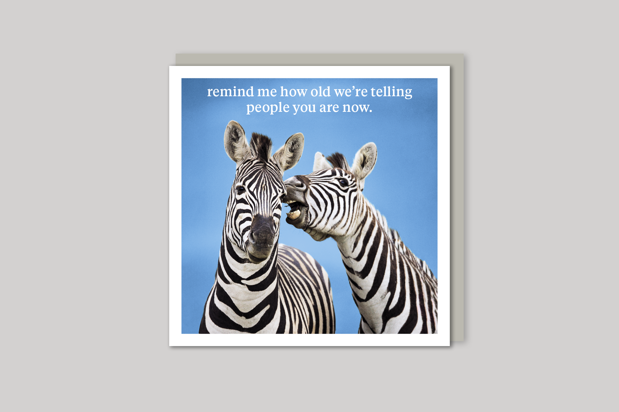 Remind Me quirky animal portrait from Curious World range of greeting cards by Icon, back page.