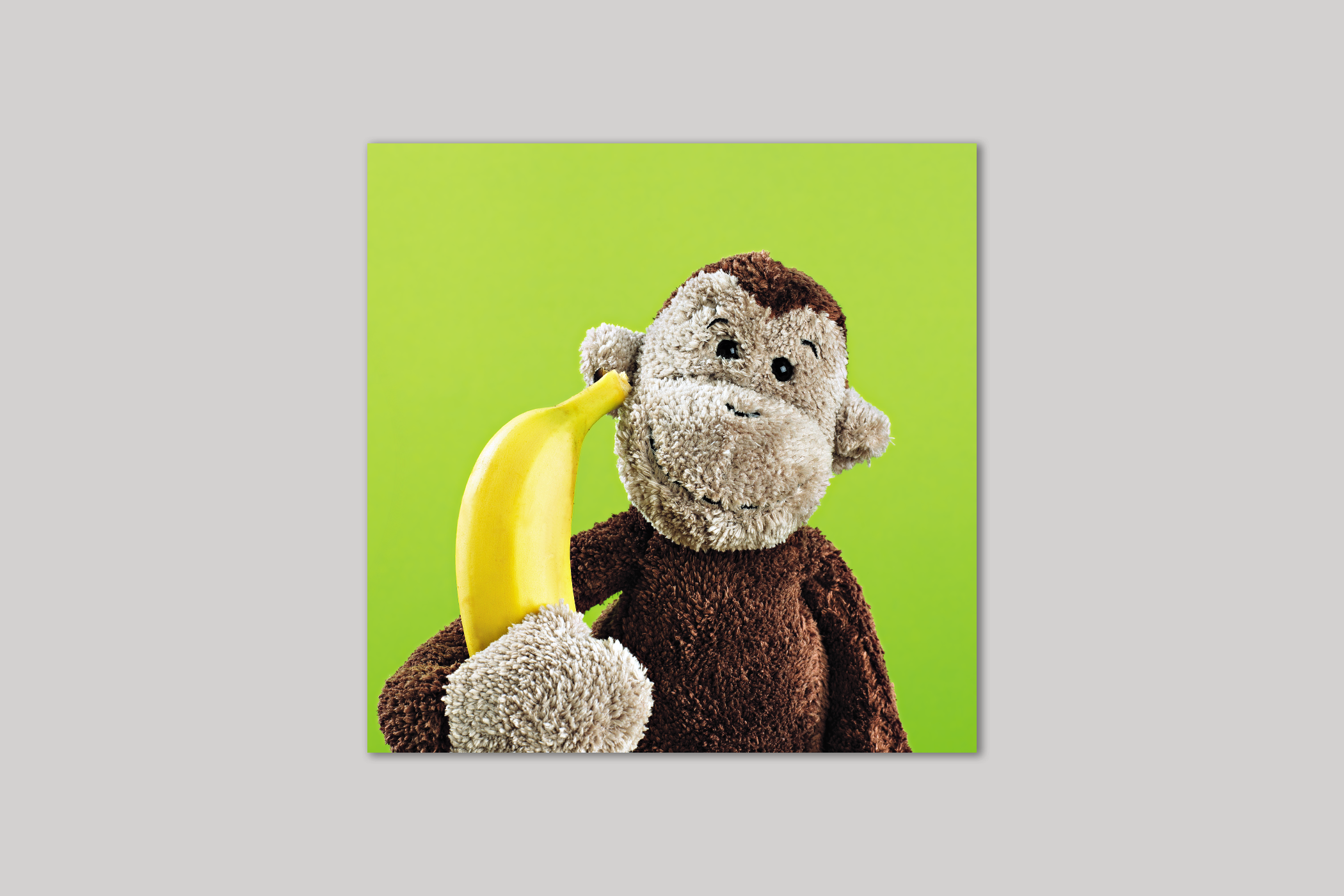 Cheeky Monkey from Exposure range of photographic cards by Icon.