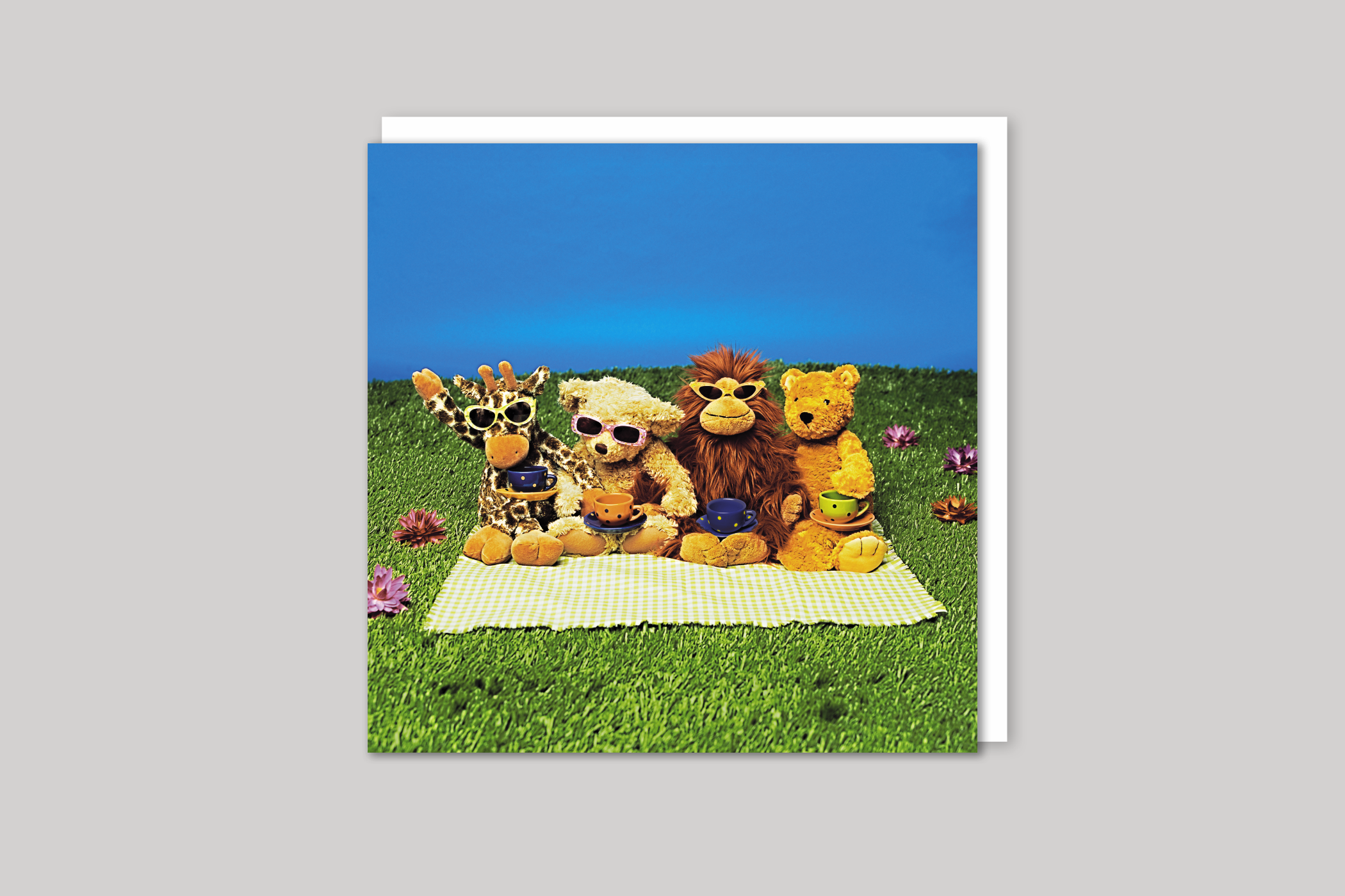 Teddy Bear's Picnic from Exposure range of photographic cards by Icon, back page.