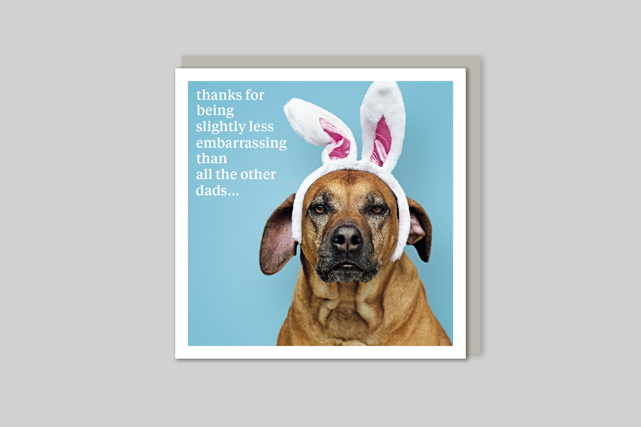 Less Embarrassing dad card quirky animal portrait from Curious World range of greeting cards by Icon, back page.