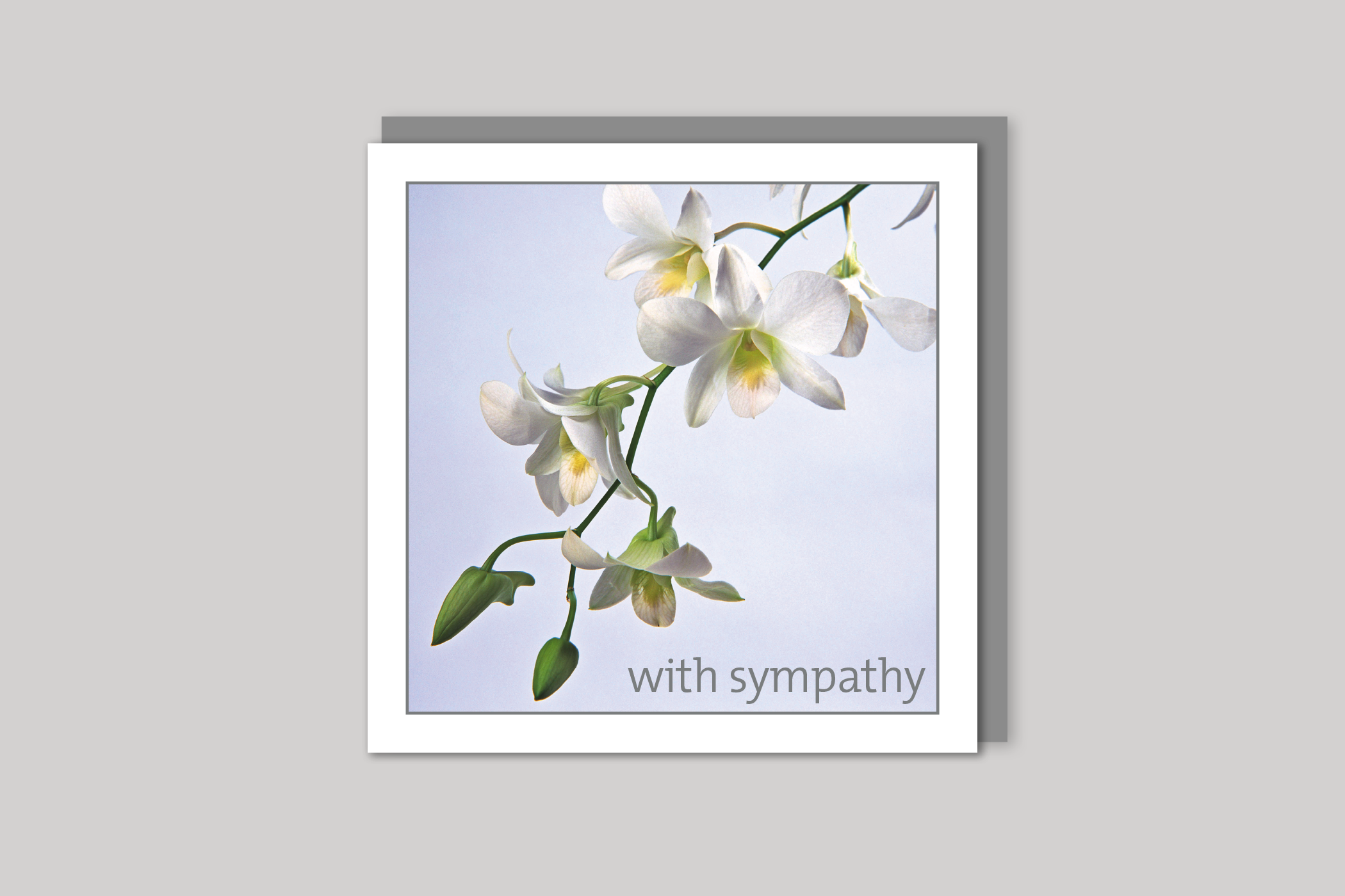 White Orchids sympathy card from Exposure Silver Edition range of greeting cards by Icon, back page.