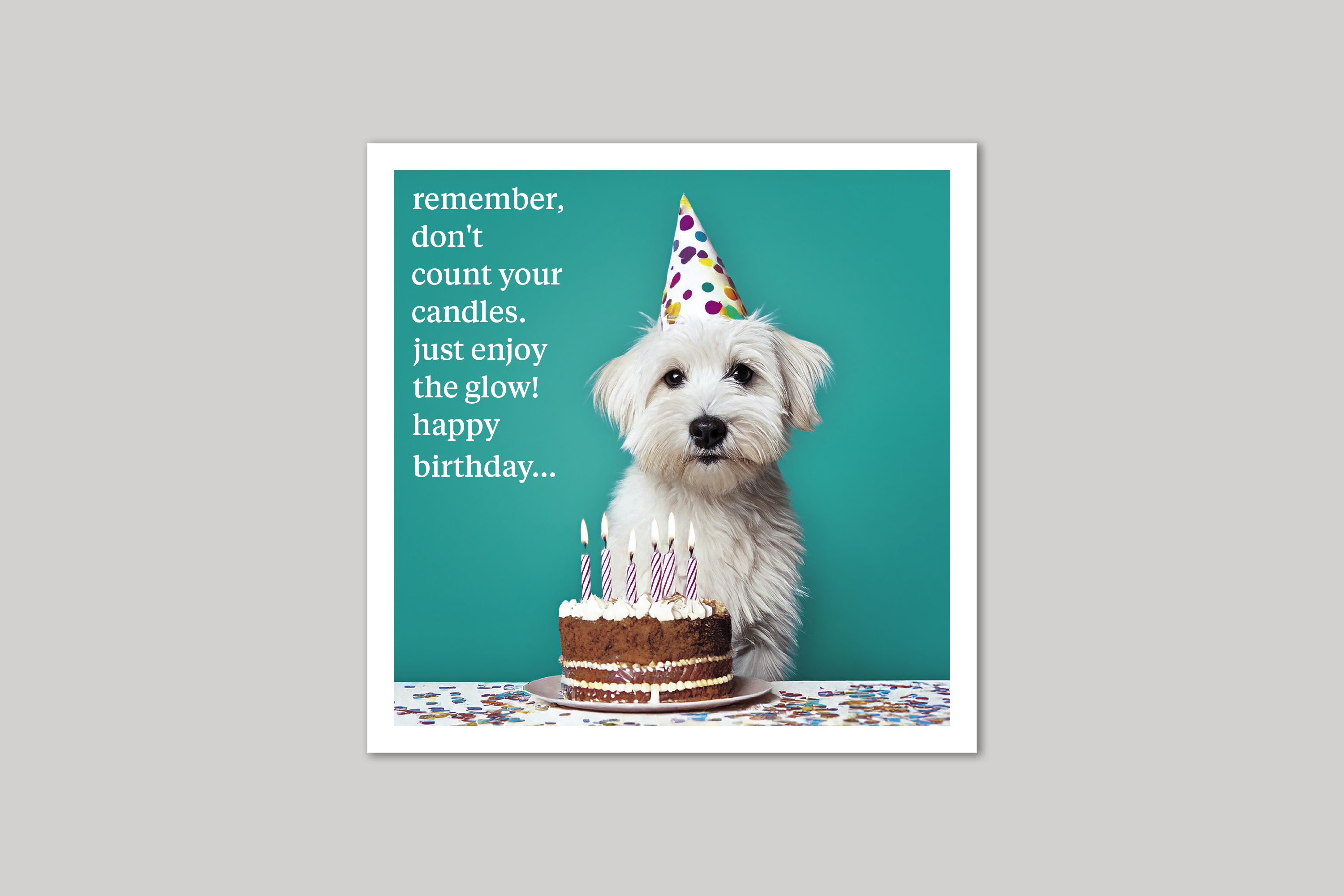 Enjoy the Glow quirky animal portrait from Curious World range of greeting cards by Icon.