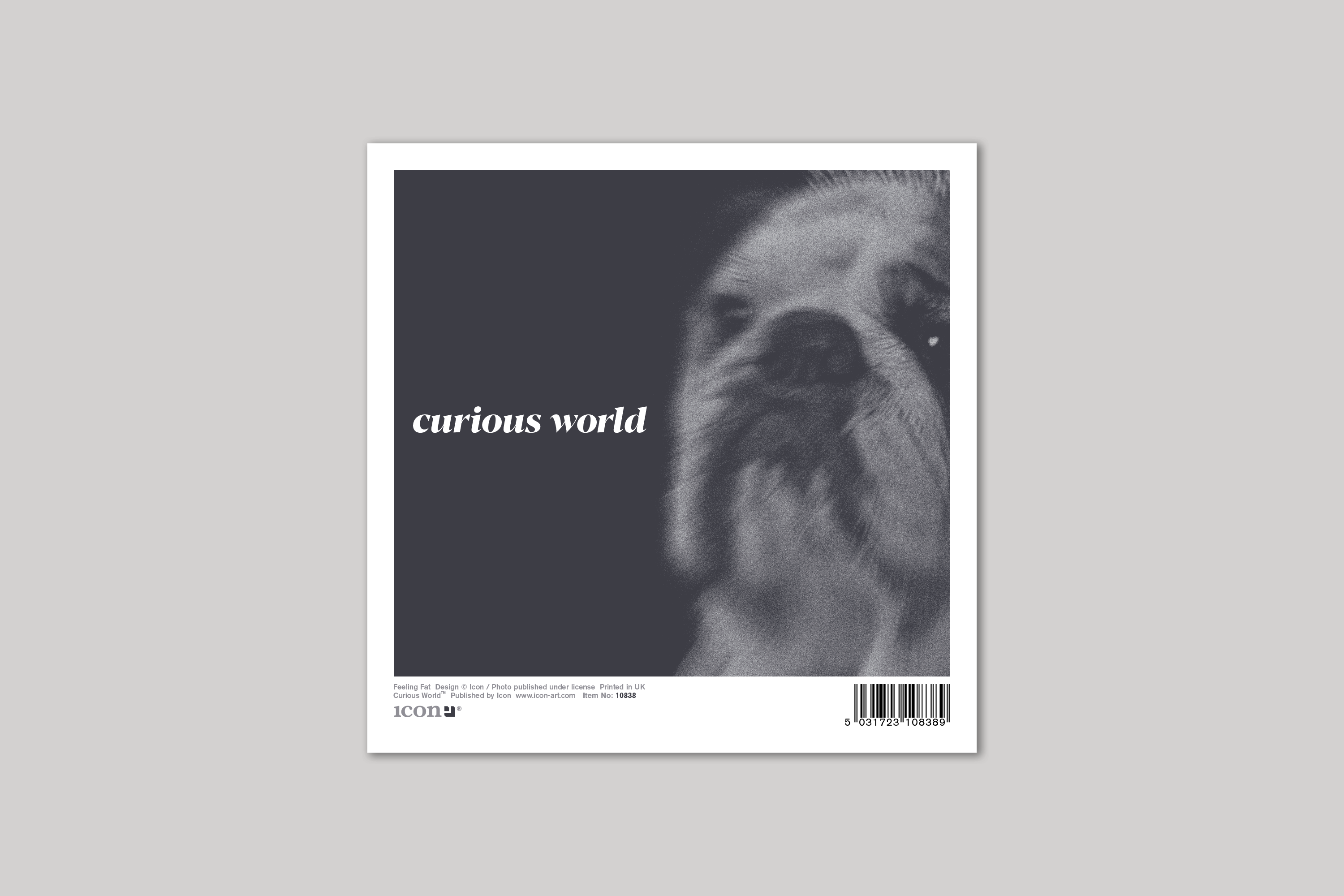Feeling Fat quirky animal portrait from Curious World range of greeting cards by Icon, back page.