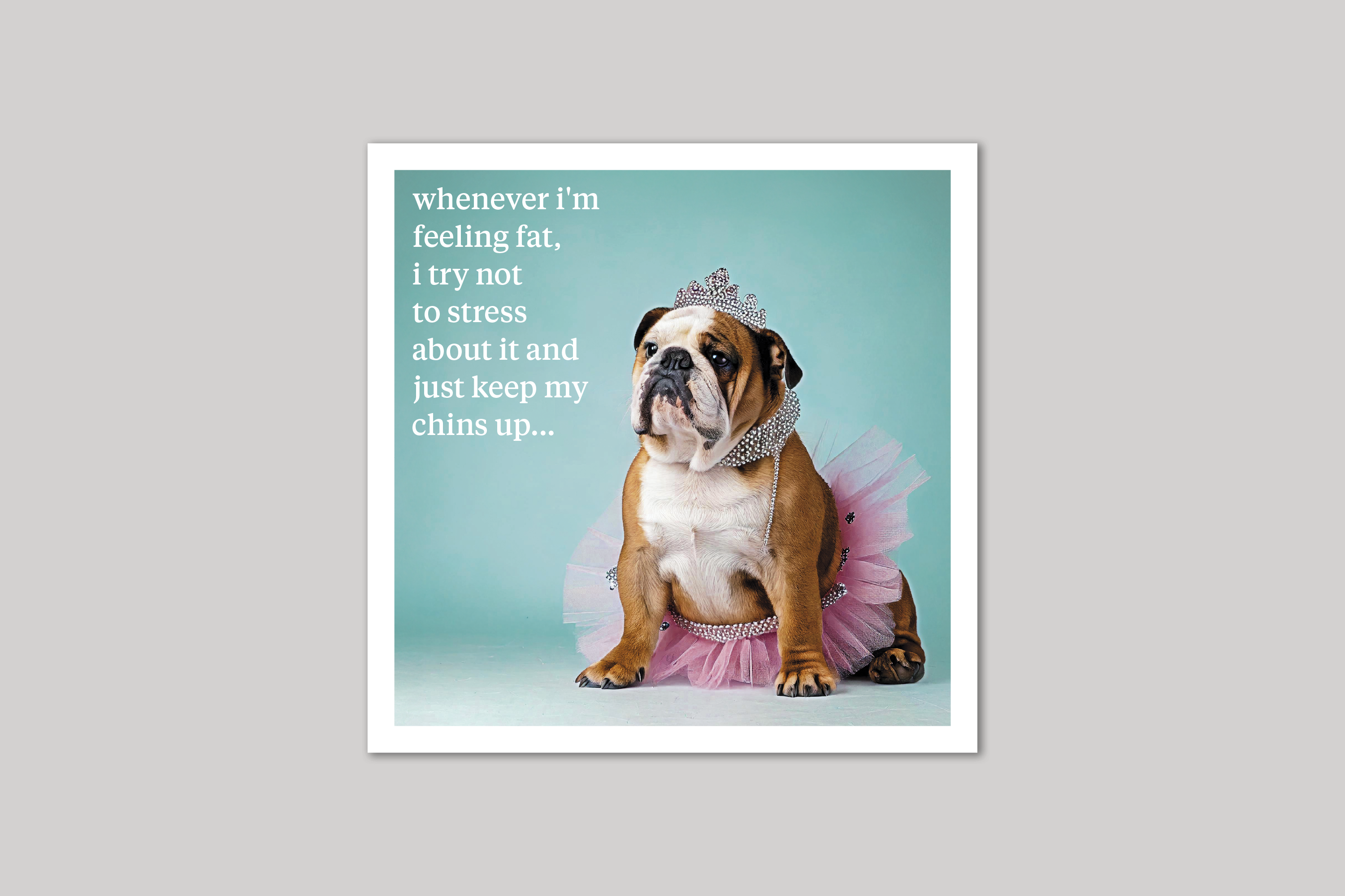 Feeling Fat quirky animal portrait from Curious World range of greeting cards by Icon.