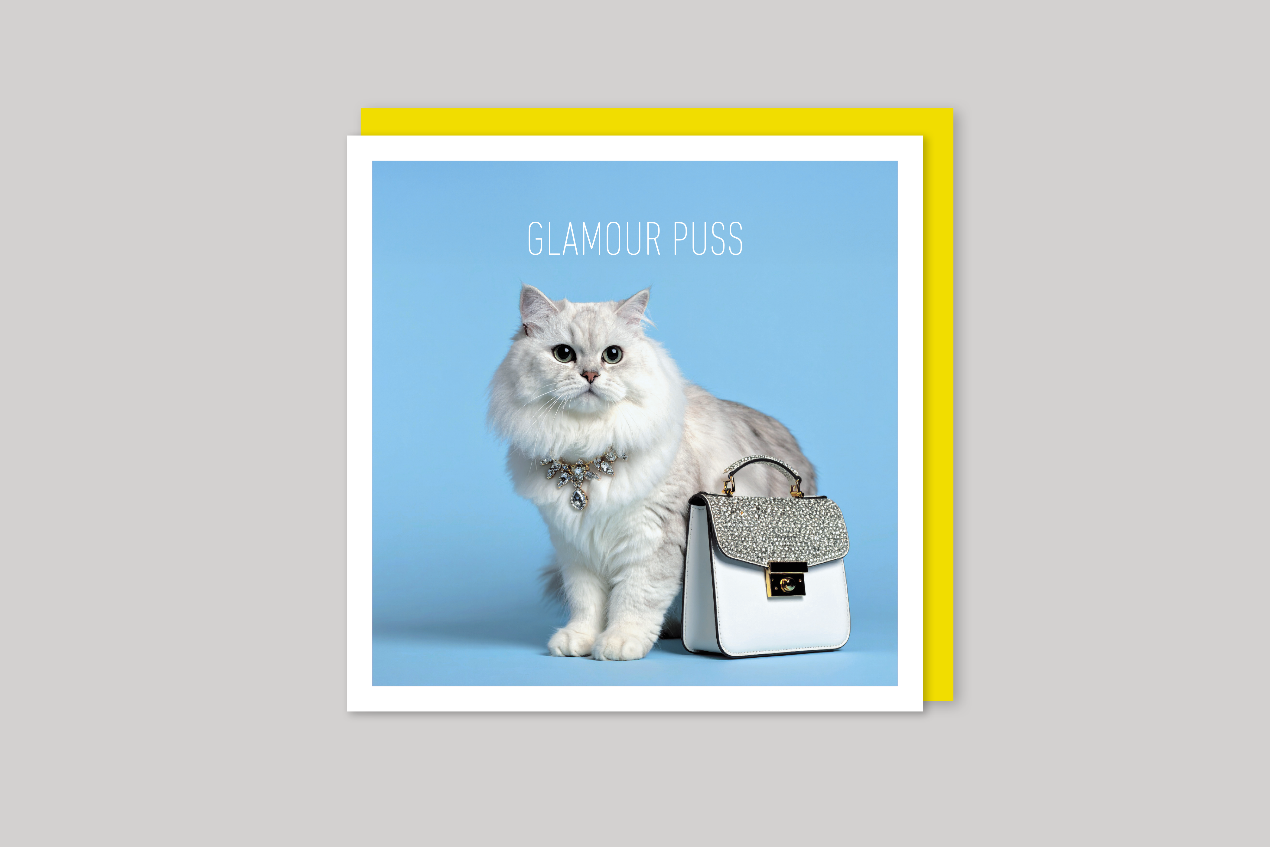 Glamour Puss is from Coola Coola an uber-cool range of animal cards published by Icon, with envelope.