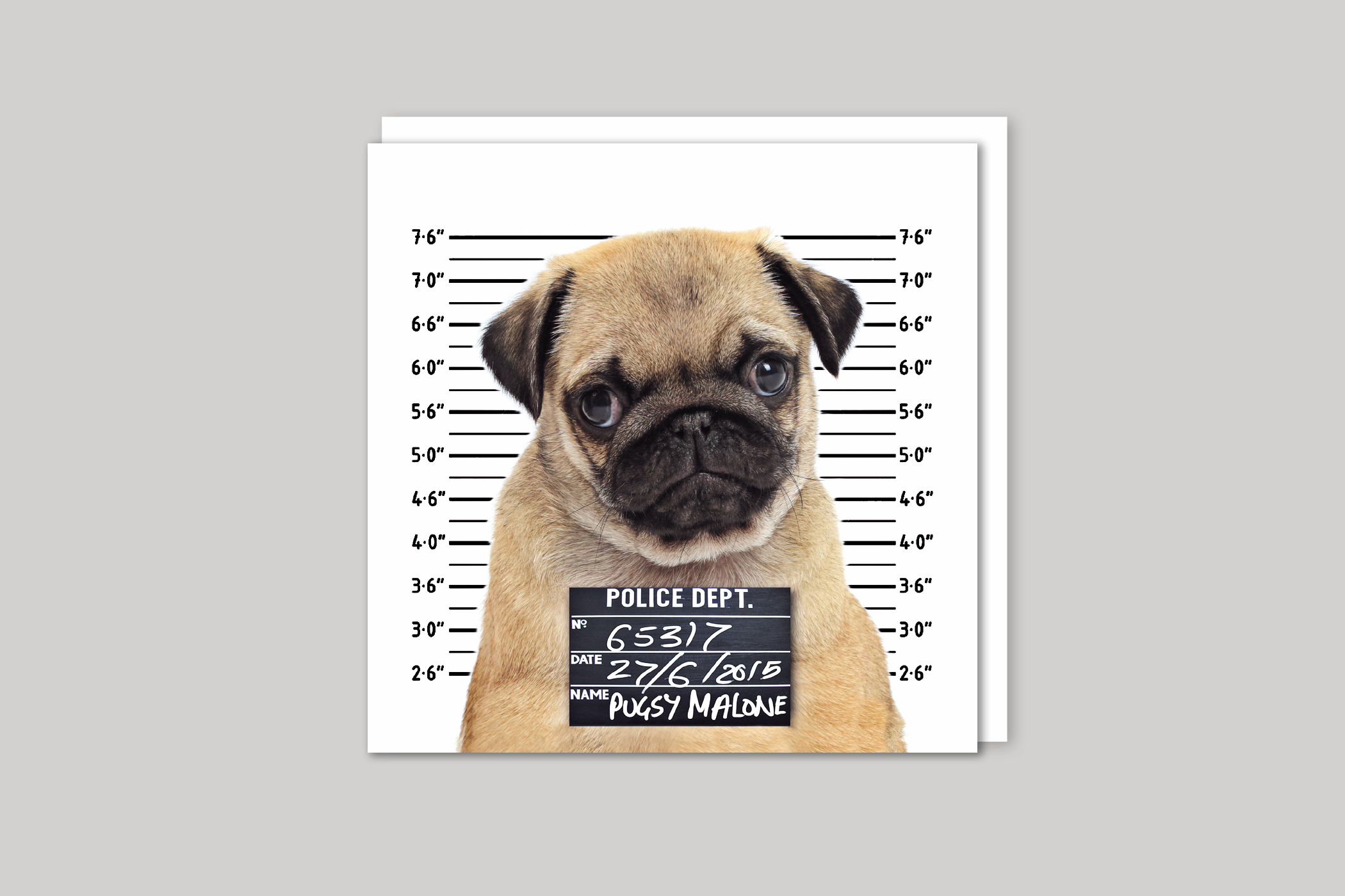 Pugsy Malone from Exposure range of photographic cards by Icon, back page.