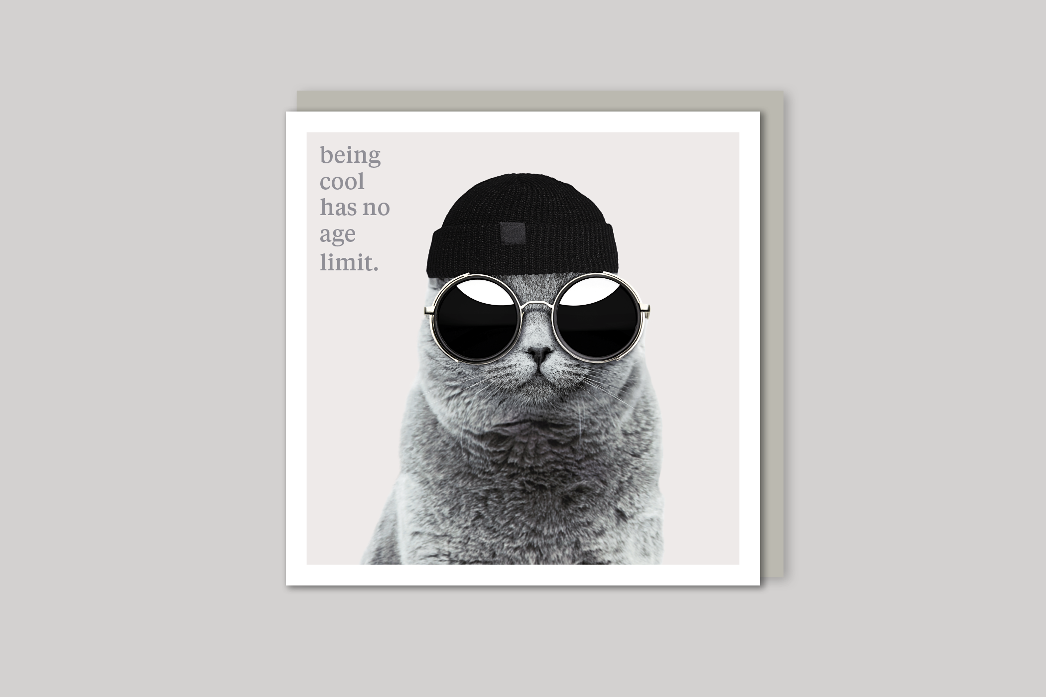Being Cool quirky animal portrait from Curious World range of greeting cards by Icon, back page.
