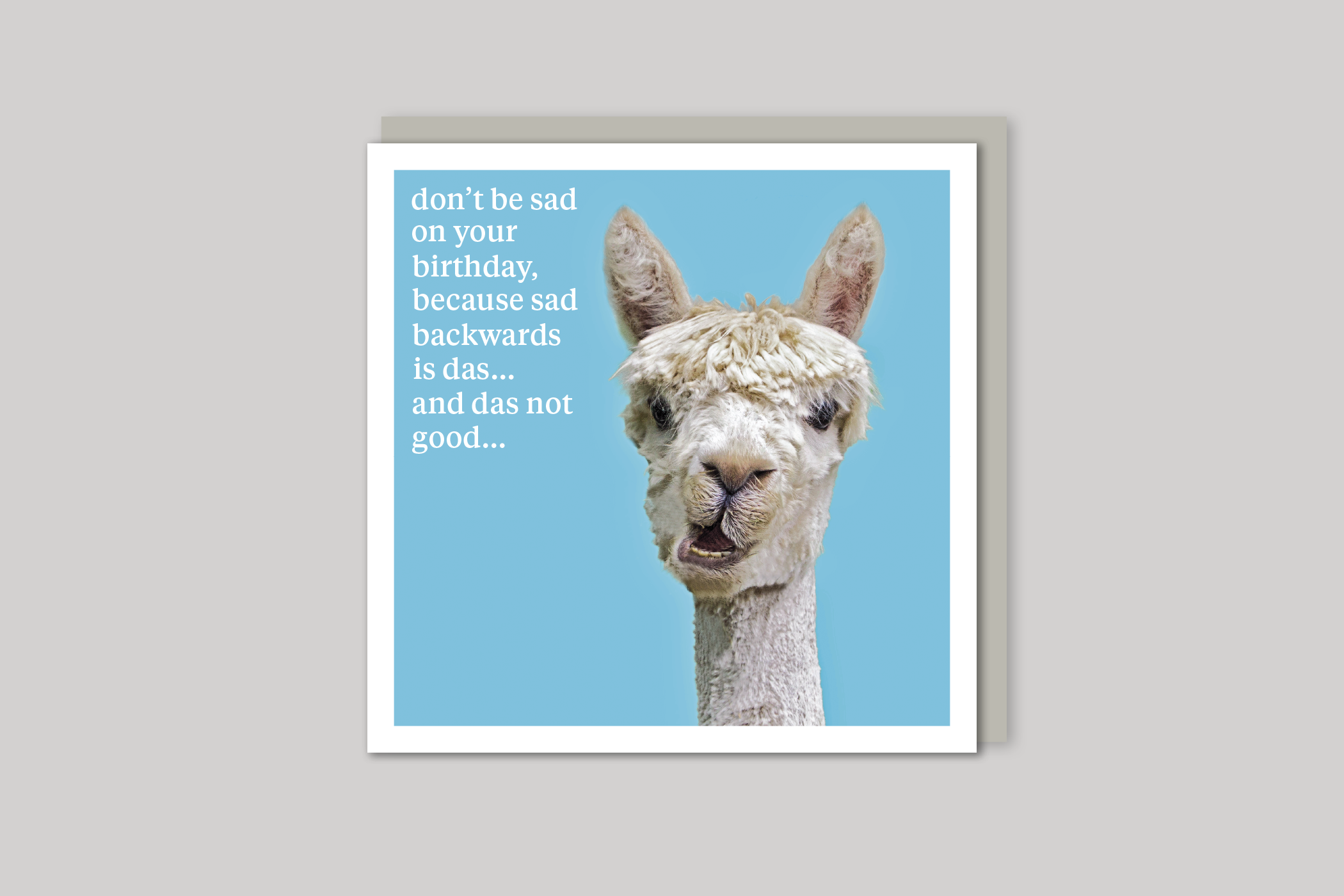 Don't Be Sad quirky animal portrait from Curious World range of greeting cards by Icon, back page.