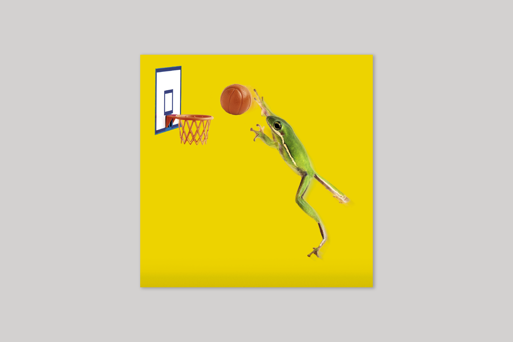 Slam Dunk from Wildthings range of greeting cards by Icon.