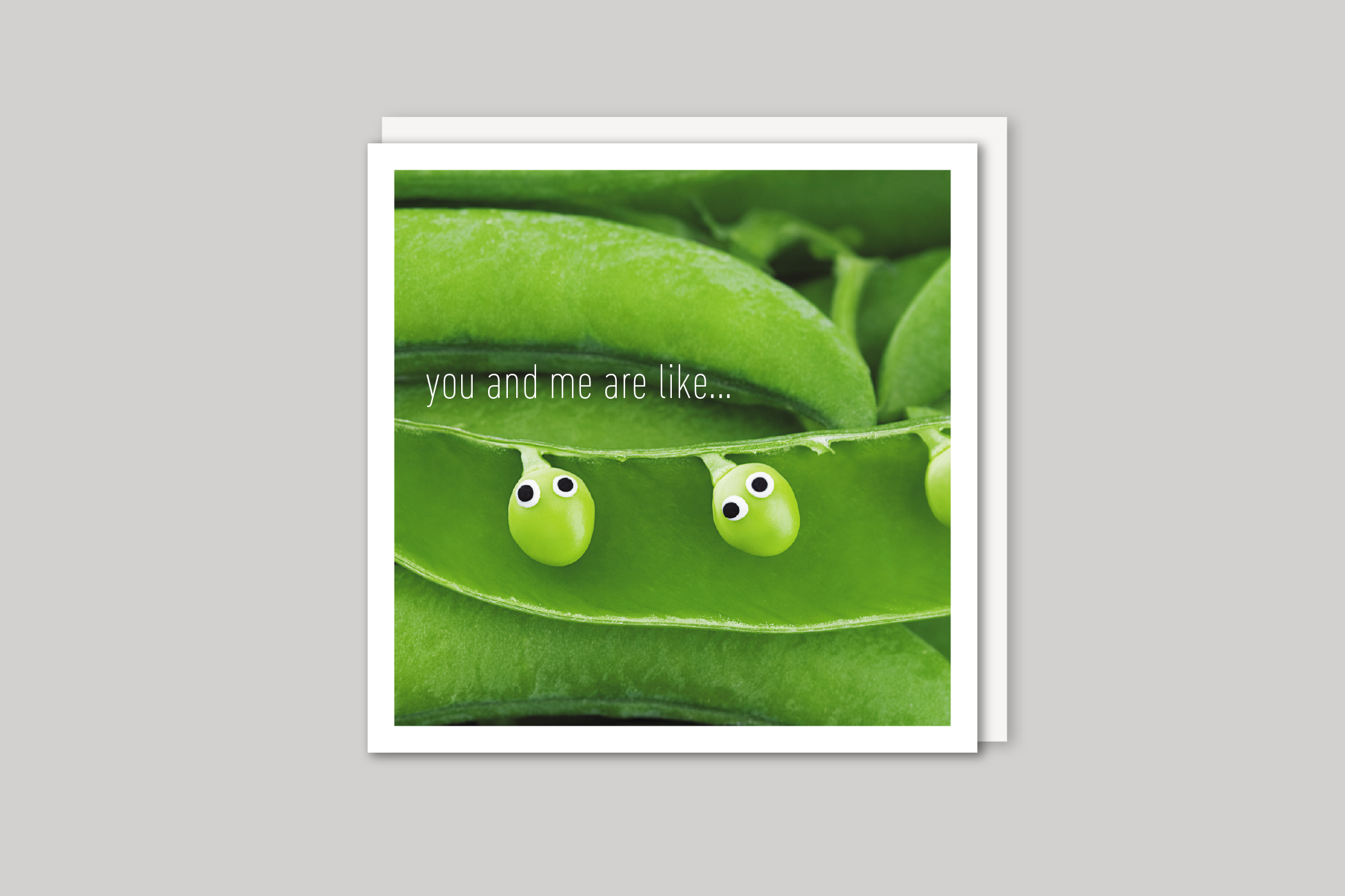 You & Me Are Like from Beautiful Days range of contemporary photographic cards by Icon, back page.