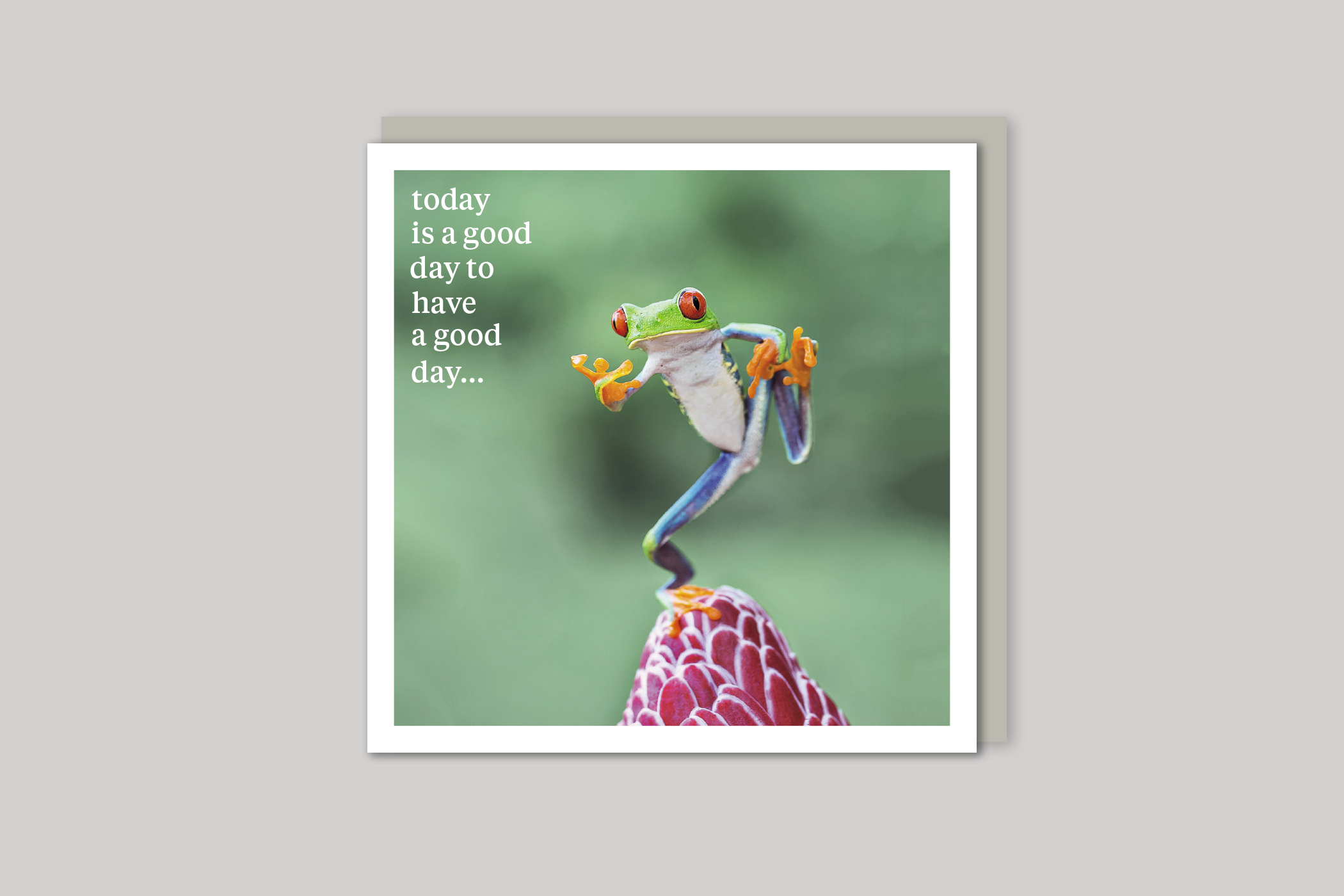 Have A Good Day quirky animal portrait from Curious World range of greeting cards by Icon, back page.