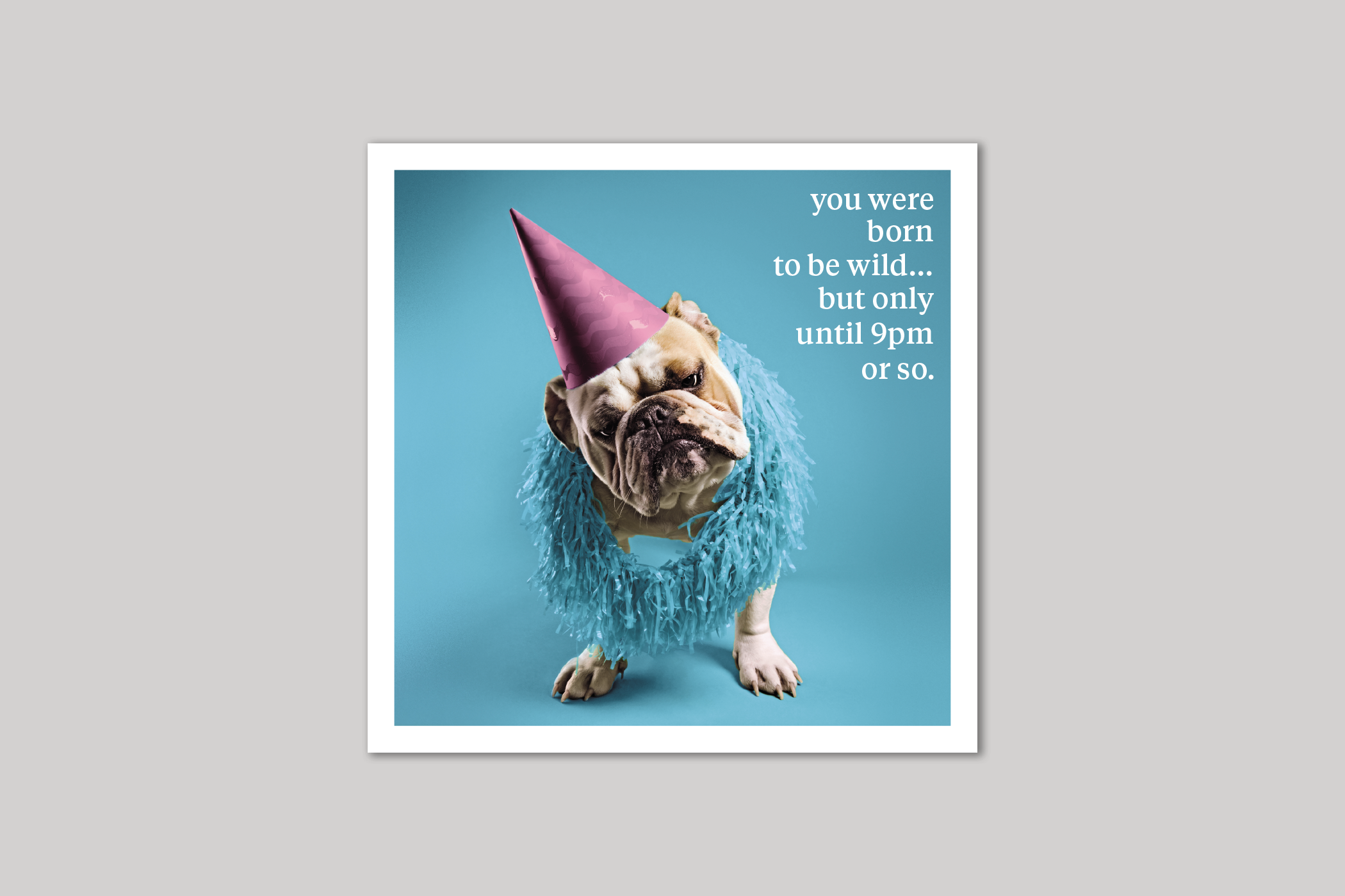 Born To Be Wild quirky animal portrait from Curious World range of greeting cards by Icon.