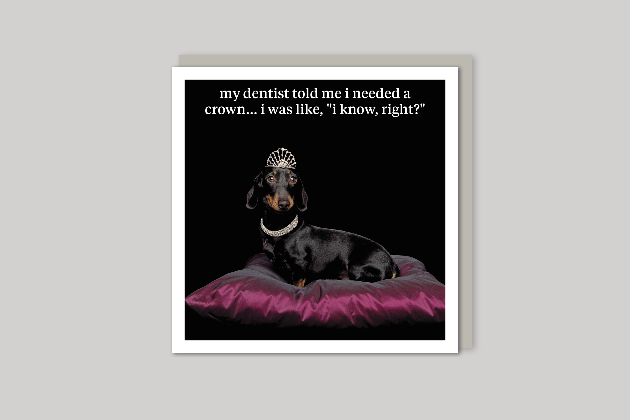 I Need A Crown quirky animal portrait from Curious World range of greeting cards by Icon, back page.
