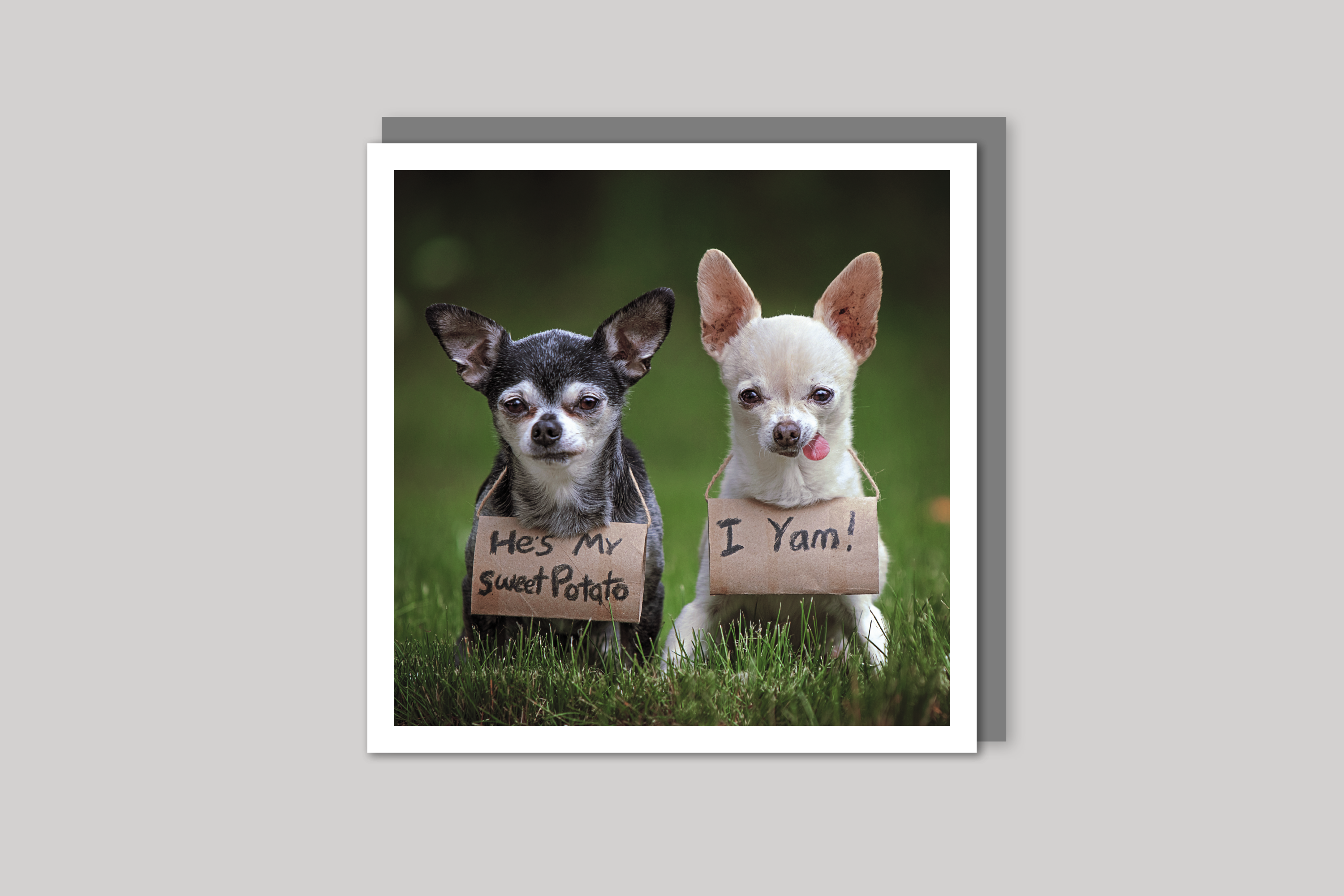 Sweet Potato cool photography from Wavelength range of photographic cards by Icon, with envelope.