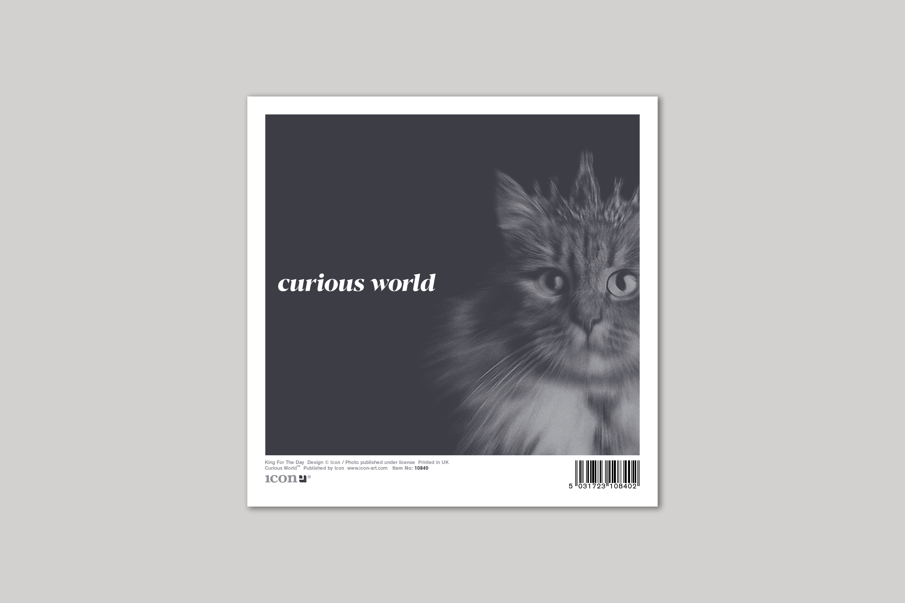 King for the Day quirky animal portrait from Curious World range of greeting cards by Icon, back page.