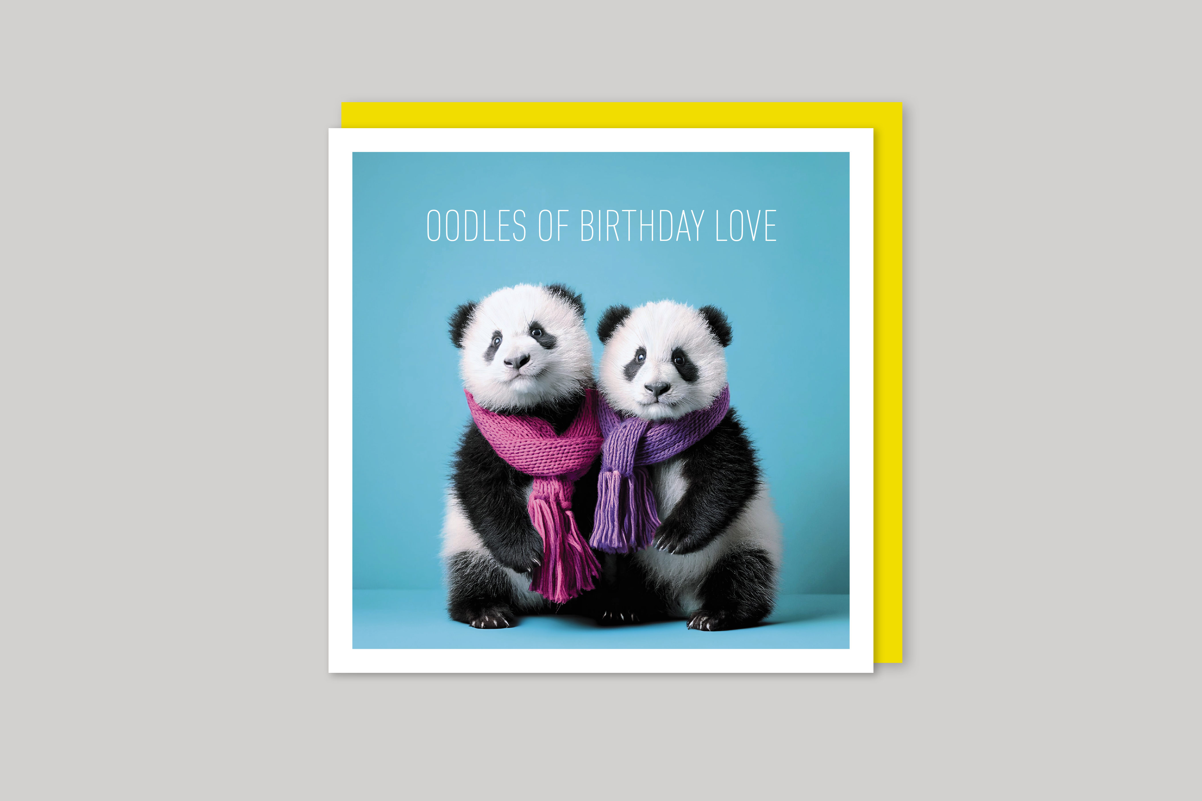 Oodles of Birthday Love is from Coola Coola an uber-cool range of animal cards published by Icon, with envelope.
