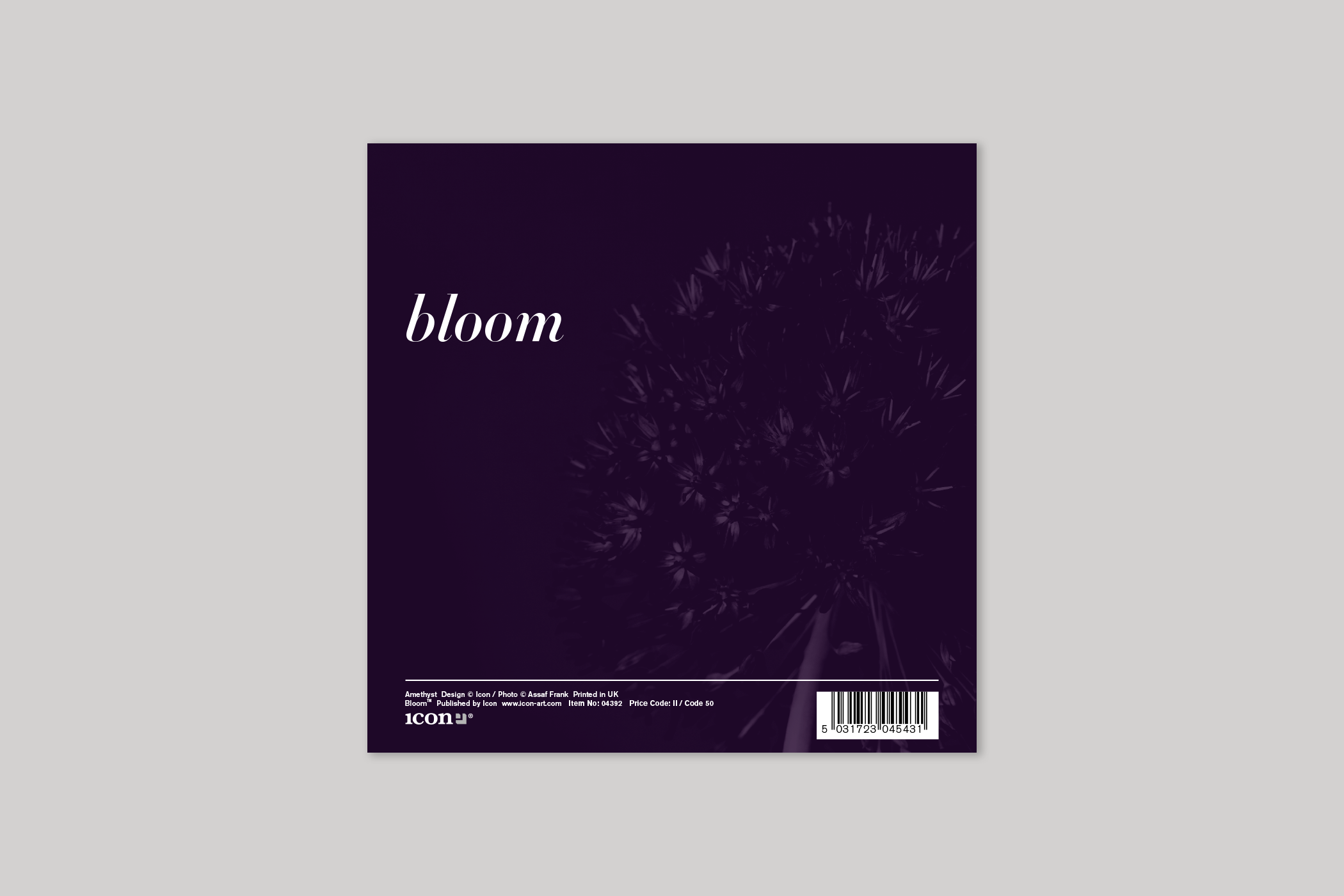 Amethyst from Bloom range of floral photographic cards by Icon, with envelope.