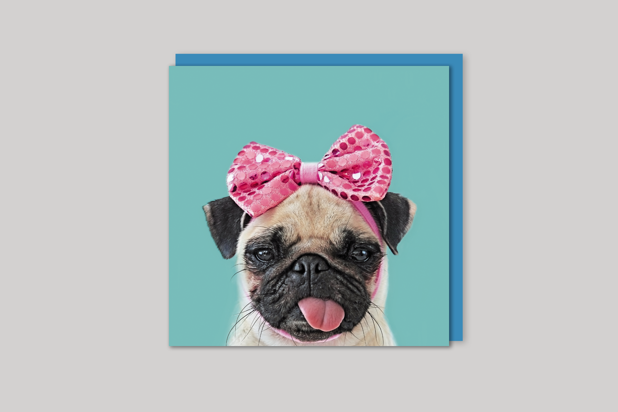 Pretty Pug from Wildthings range of greeting cards by Icon, back page.