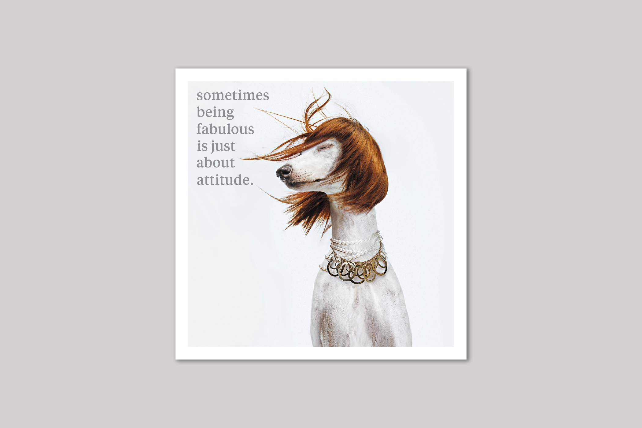 Being Fabulous quirky animal portrait from Curious World range of greeting cards by Icon.