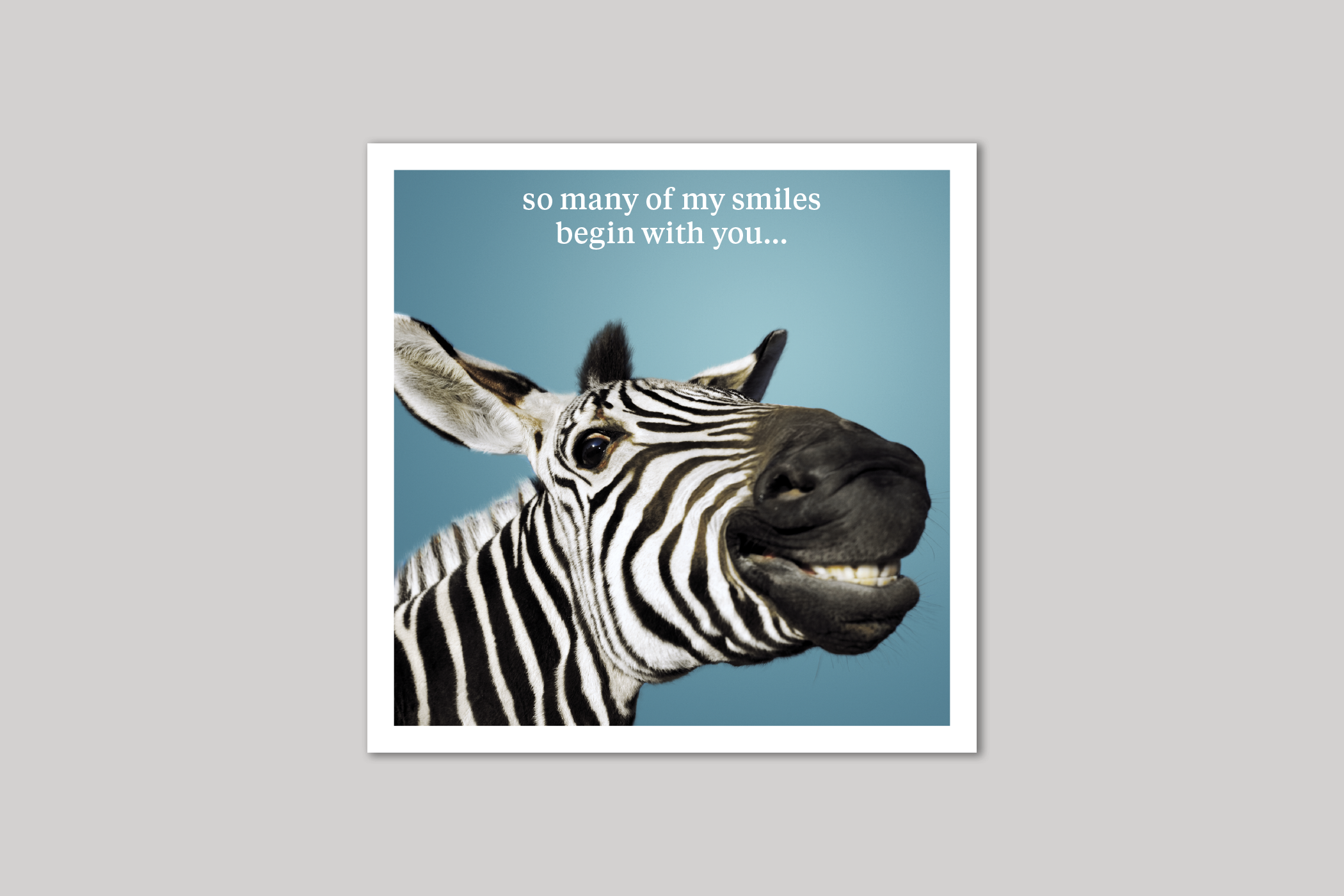 My Smiles quirky animal portrait from Curious World range of greeting cards by Icon.