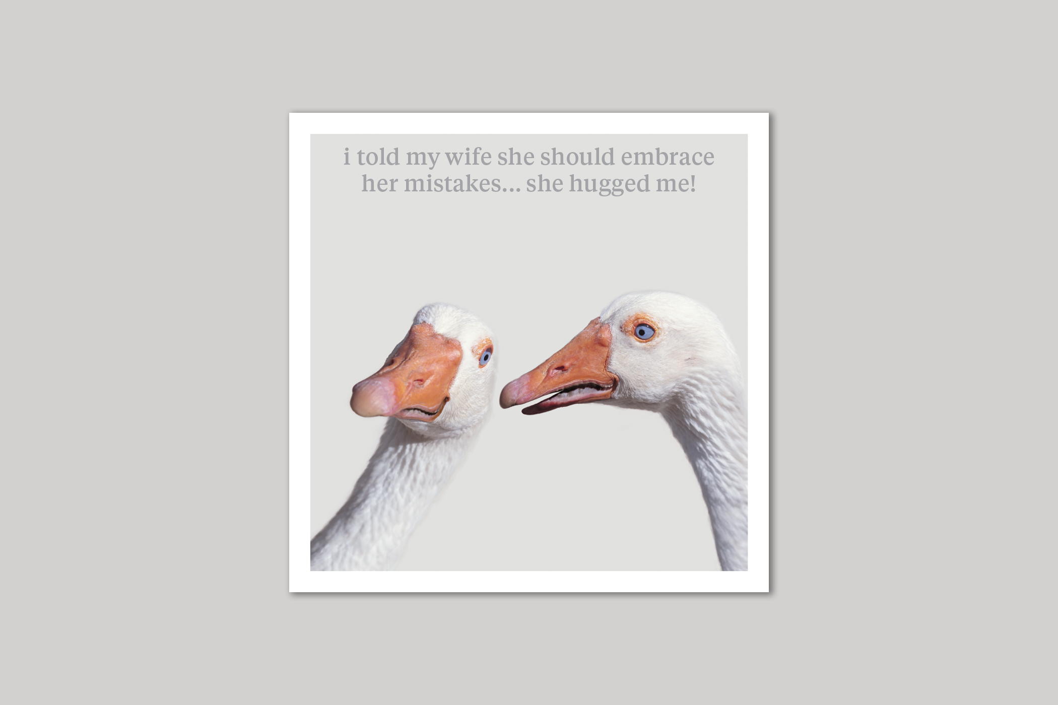 She Hugged Me quirky animal portrait from Curious World range of greeting cards by Icon.