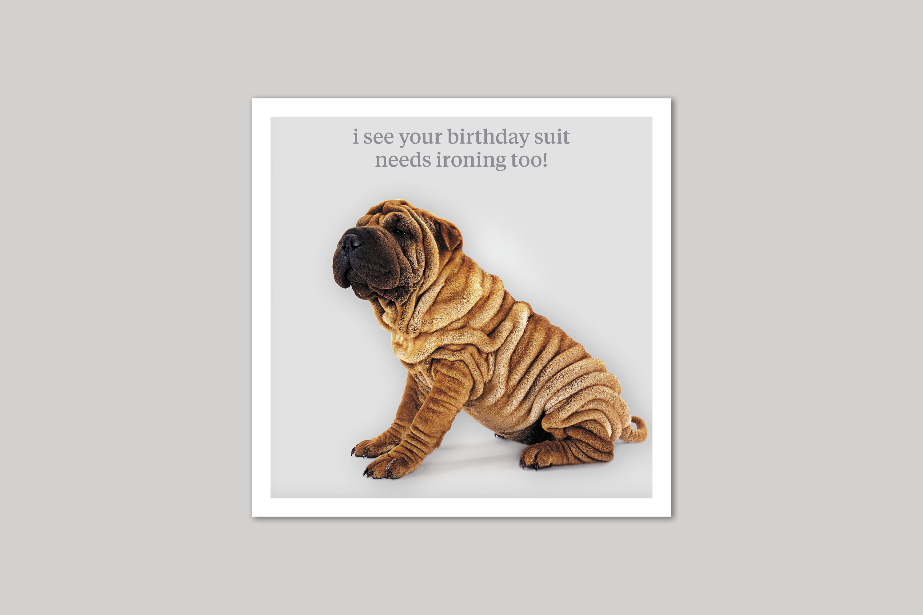 Birthday Suit quirky animal portrait from Curious World range of greeting cards by Icon.