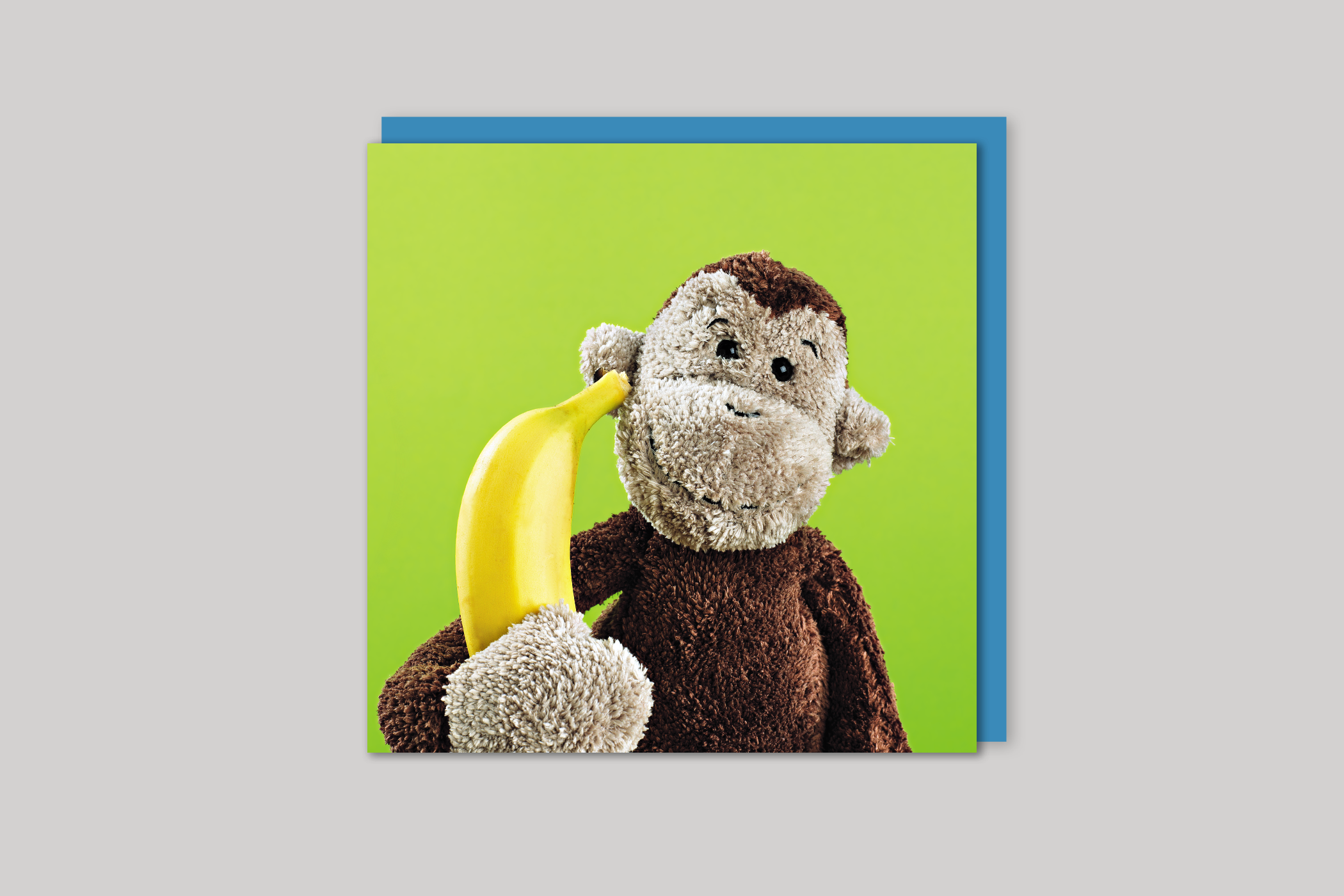 Cheeky Monkey from Exposure range of photographic cards by Icon, back page.