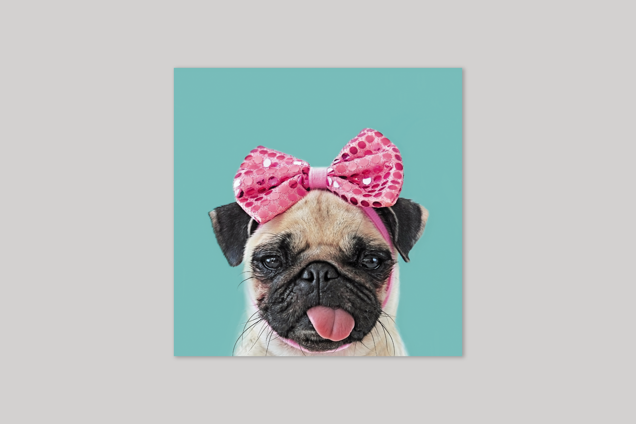 Pretty Pug from Wildthings range of greeting cards by Icon.