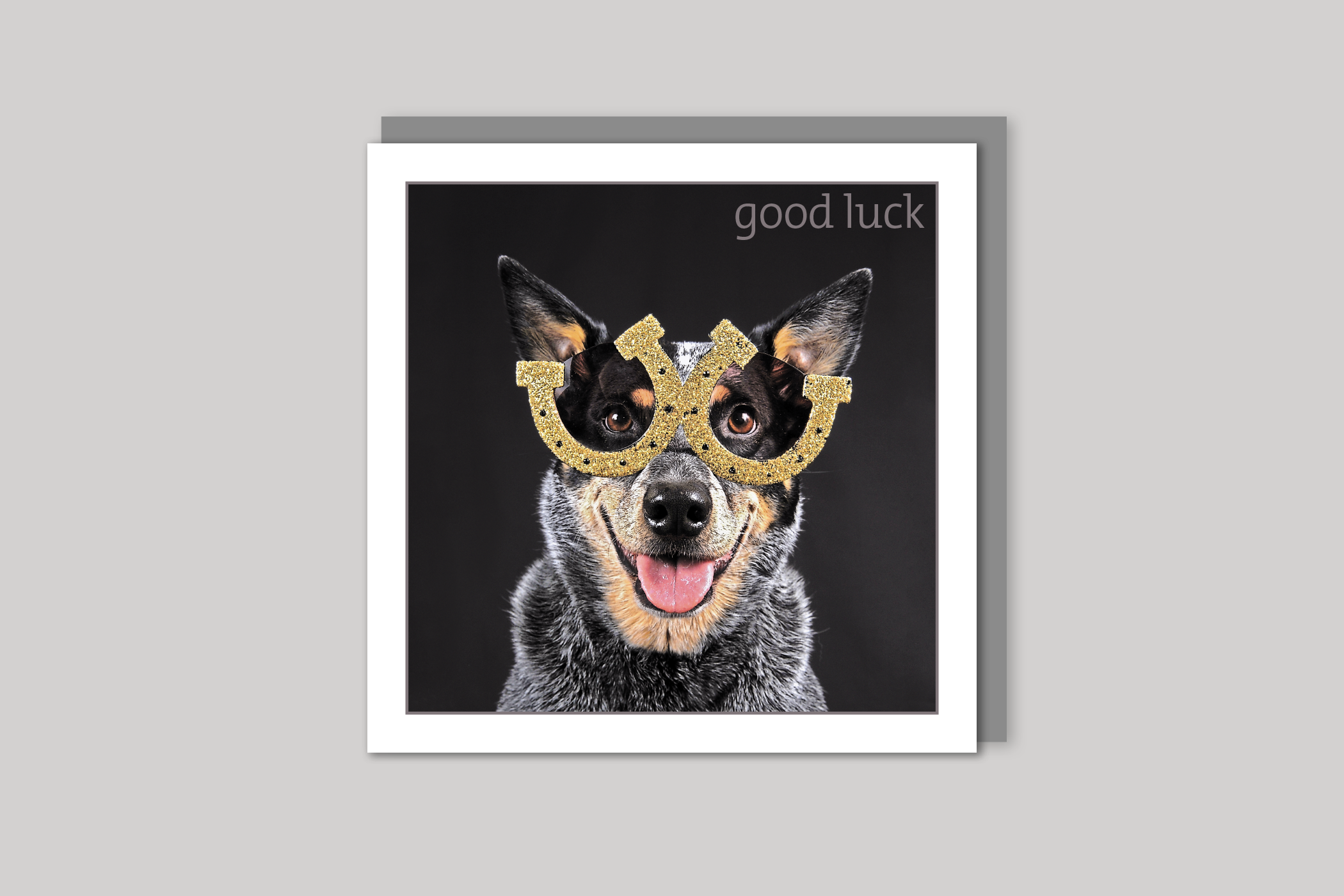 Dog good luck card from Exposure Silver Edition range of greeting cards by Icon, back page.