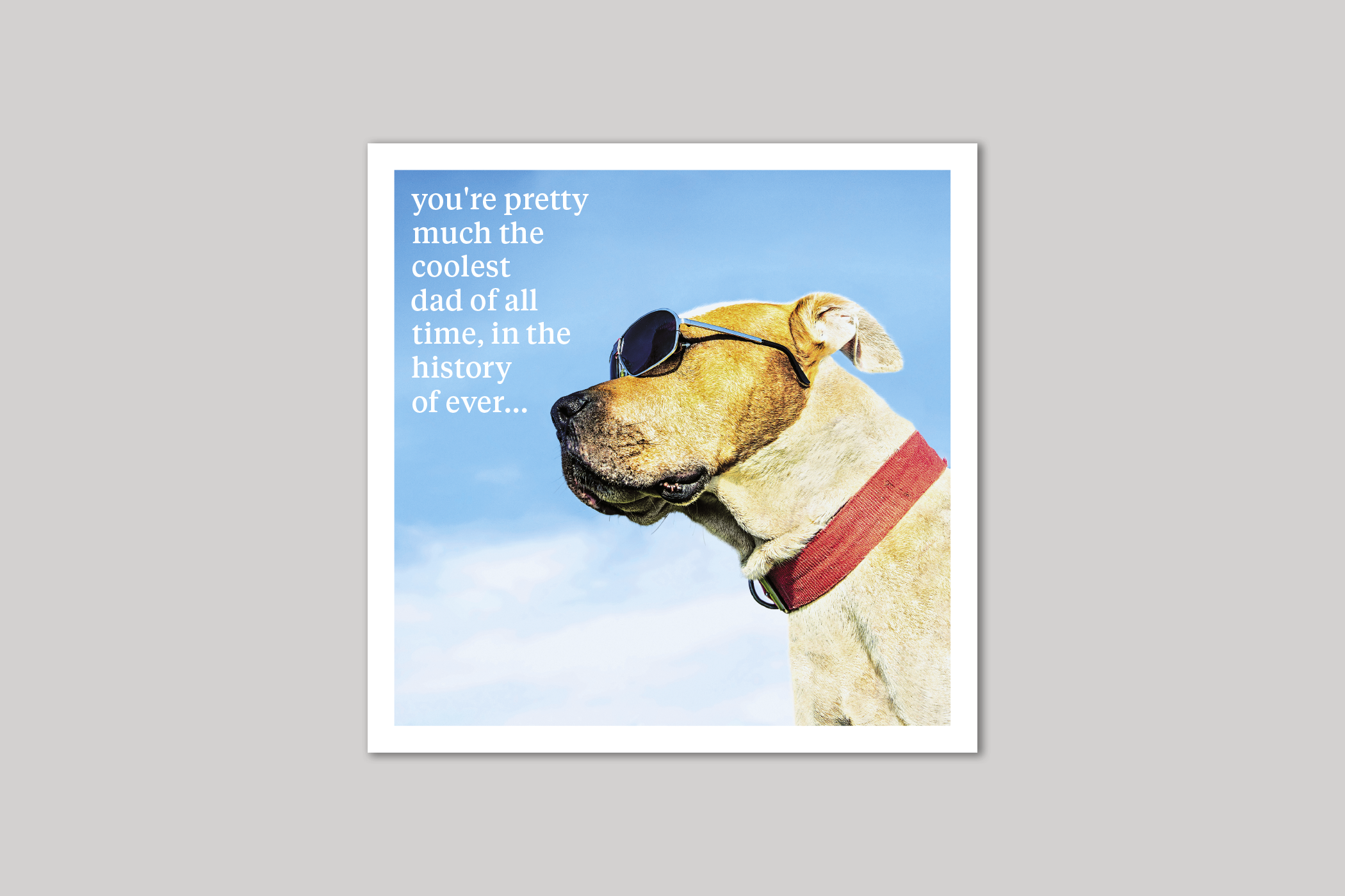 Coolest Dad dad card quirky animal portrait from Curious World range of greeting cards by Icon.