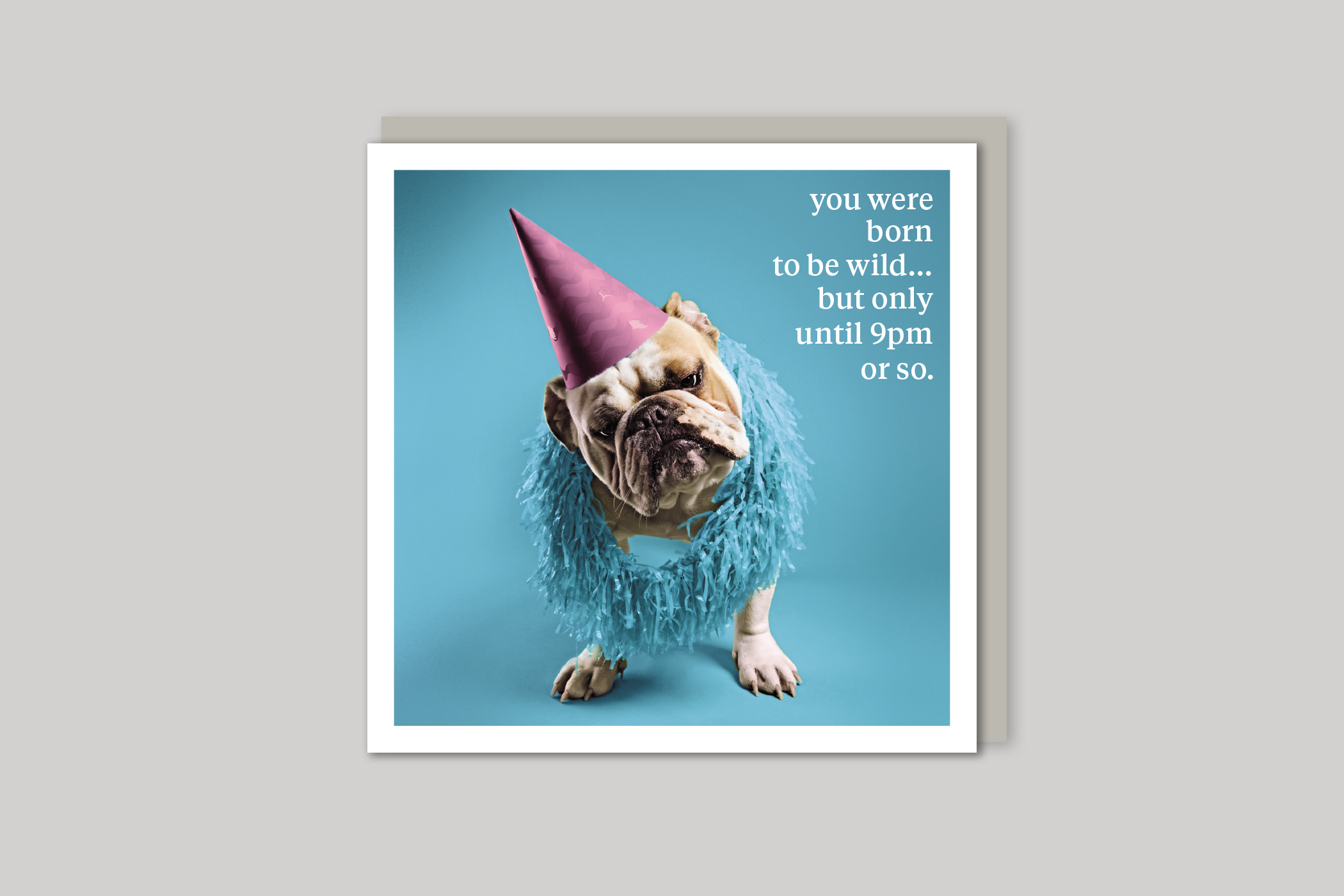 Born To Be Wild quirky animal portrait from Curious World range of greeting cards by Icon, back page.