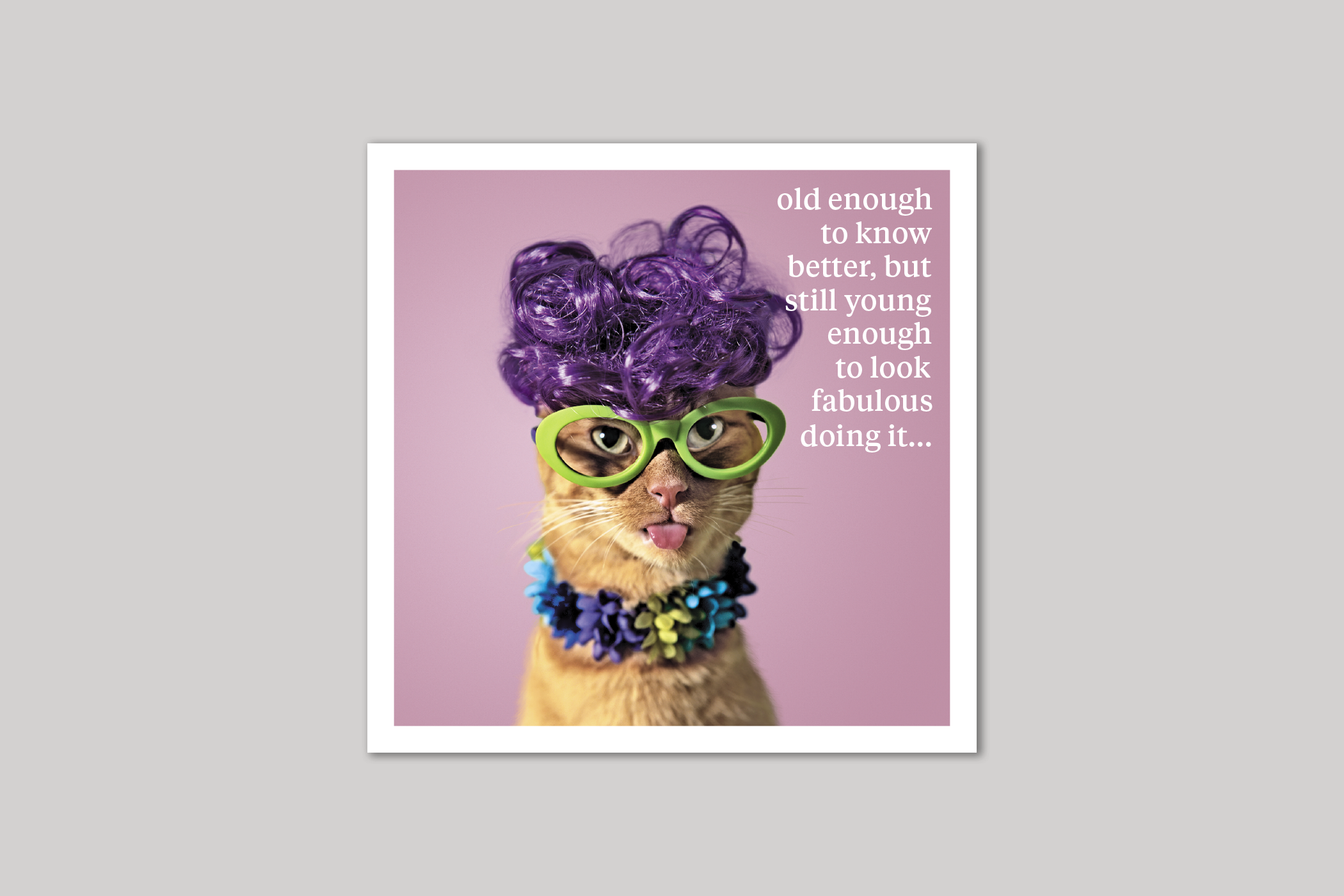 Still Young quirky animal portrait from Curious World range of greeting cards by Icon.