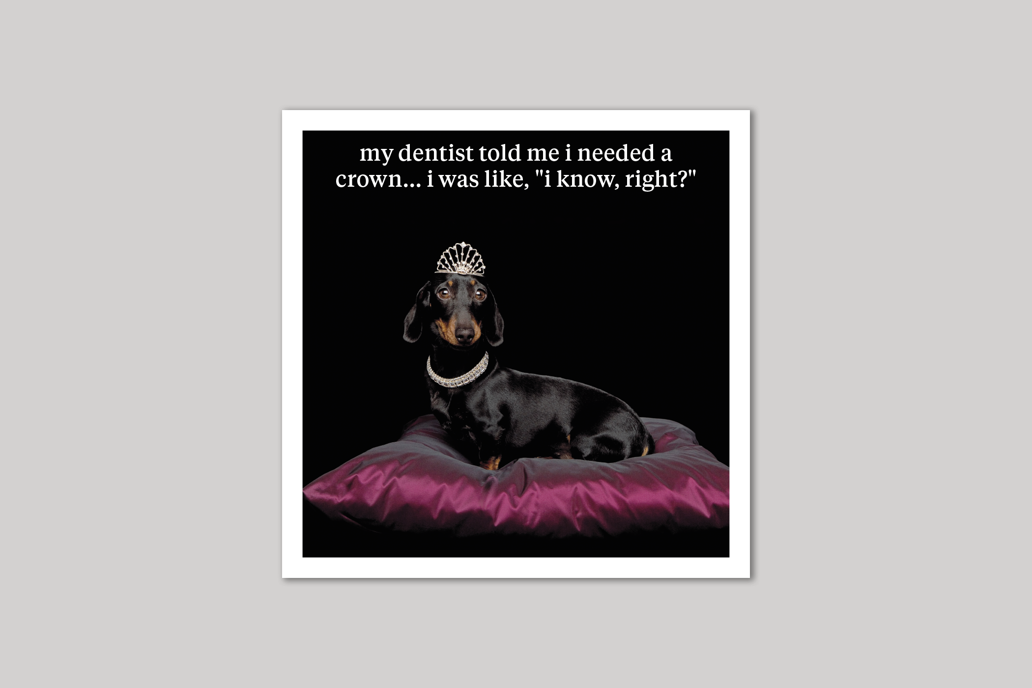 I Need A Crown quirky animal portrait from Curious World range of greeting cards by Icon.