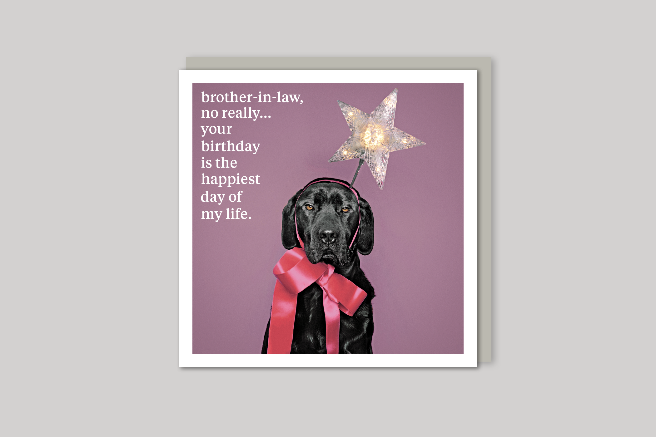 Your Birthday brother-in-law card quirky animal portrait from Curious World range of greeting cards by Icon, back page.