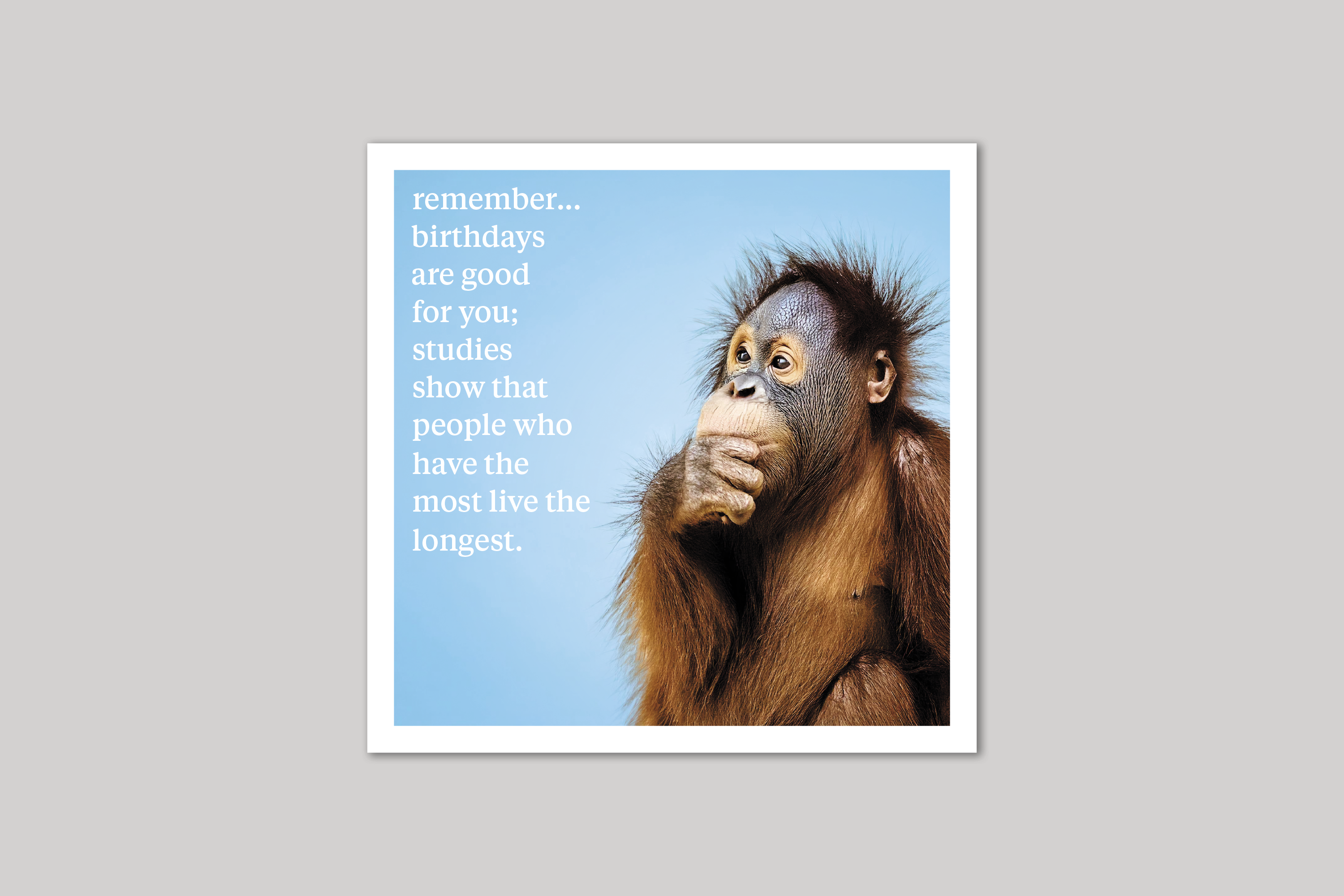 Live Longer quirky animal portrait from Curious World range of greeting cards by Icon.
