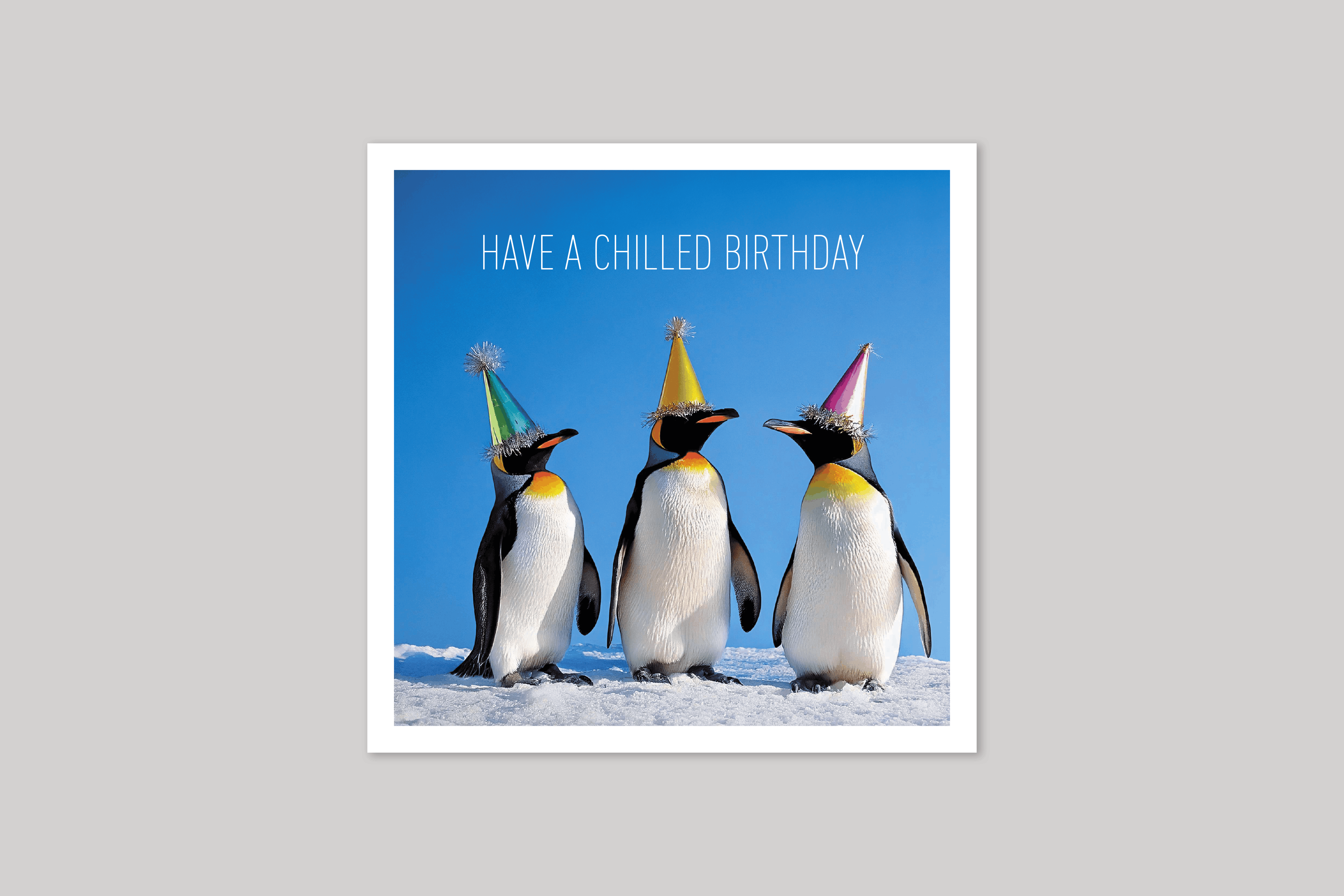 Have a Chilled Birthday is from Coola Coola an uber-cool range of animal cards published by Icon.