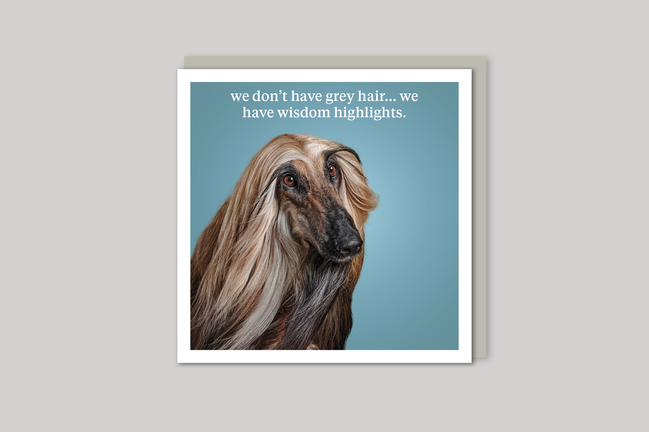 Wisdom Highlights quirky animal portrait from Curious World range of greeting cards by Icon, back page.