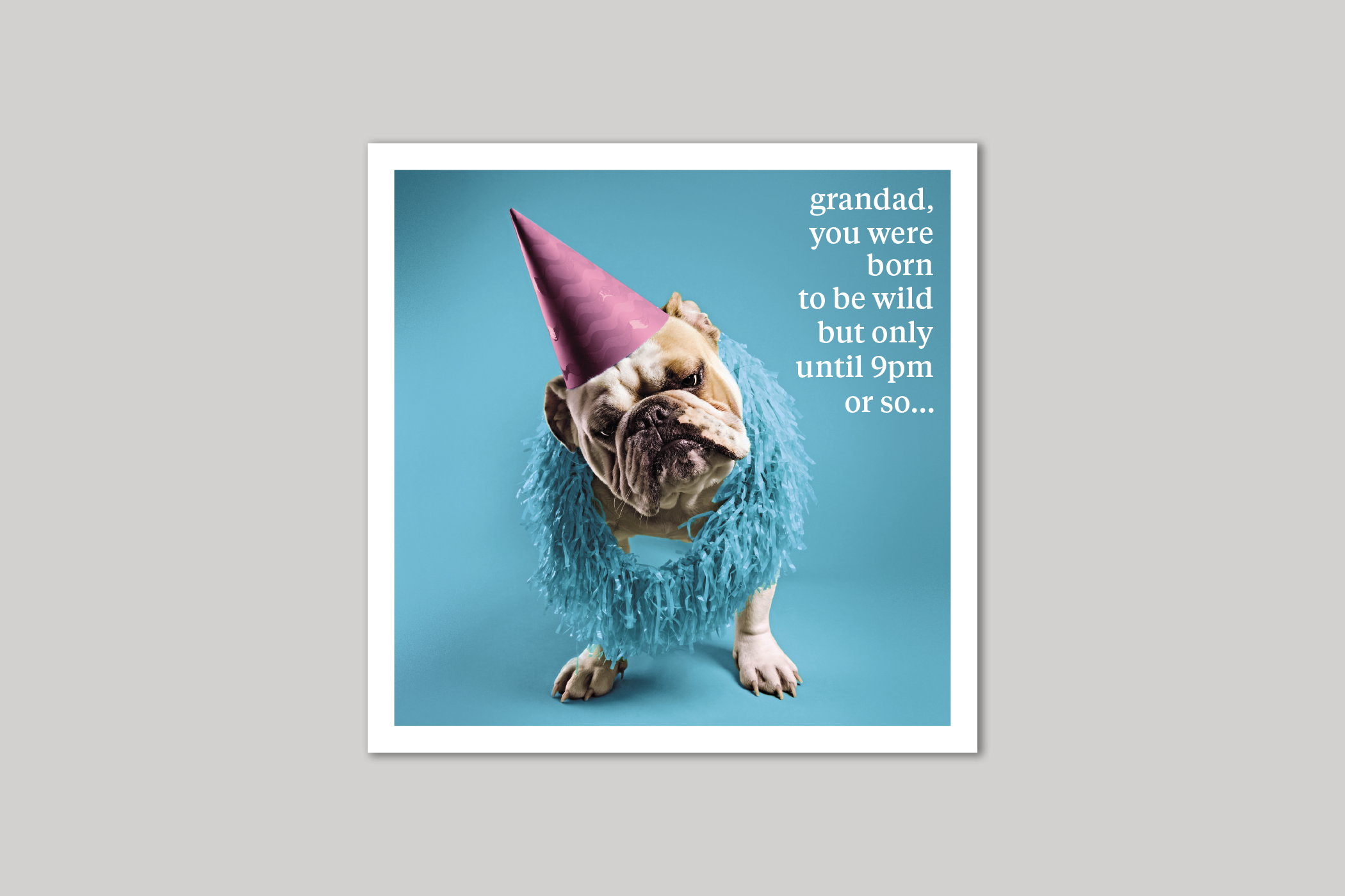 Born to be Wild grandad card quirky animal portrait from Curious World range of greeting cards by Icon.
