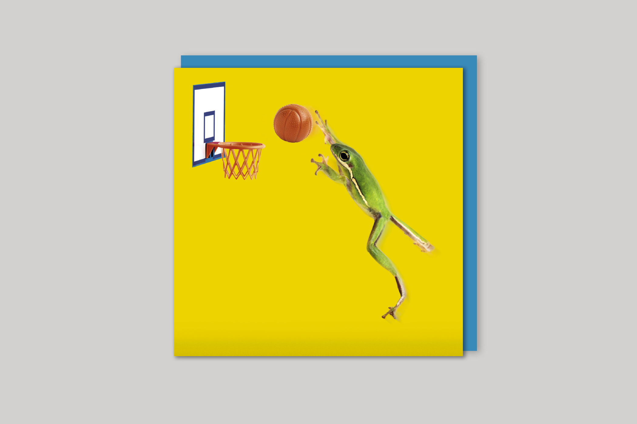 Slam Dunk from Wildthings range of greeting cards by Icon, back page.